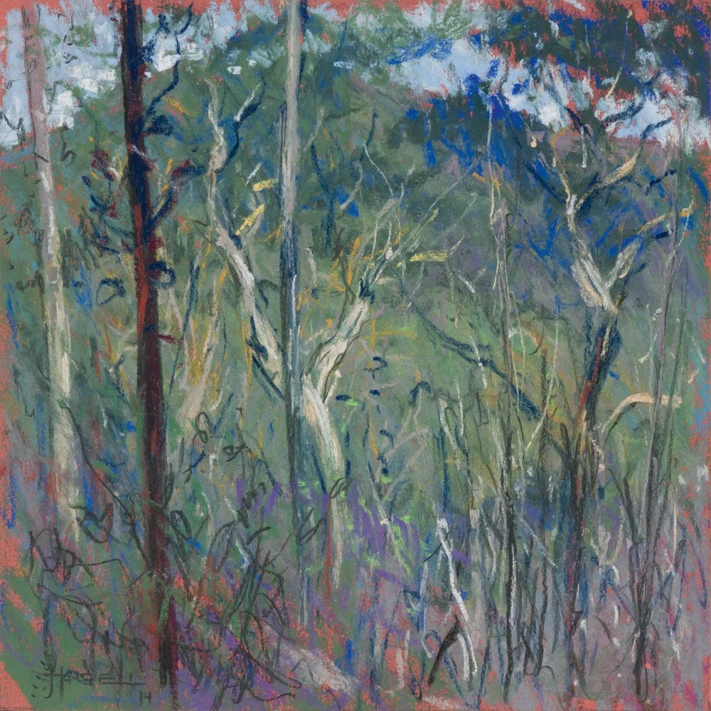 No. 18 - Across Burralow Creek, Blue Mountains National Park