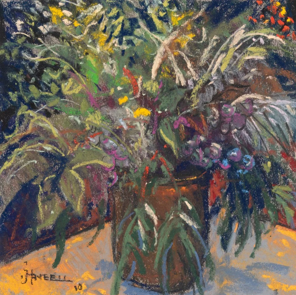 No. 27 - Privet with weeds