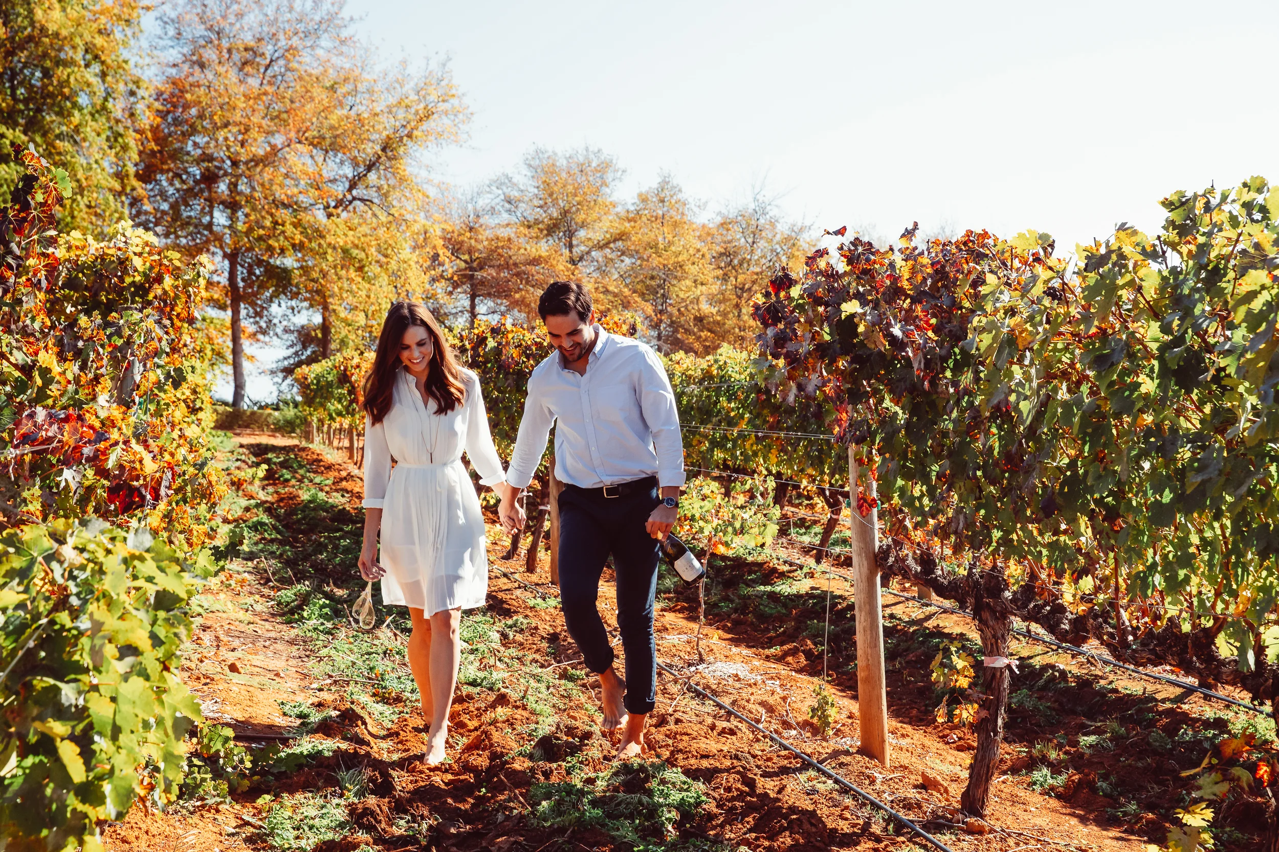 A romantic couple escape hand-in-hand with a bottle of champagne in the vineyards at Delaire Graff Estate