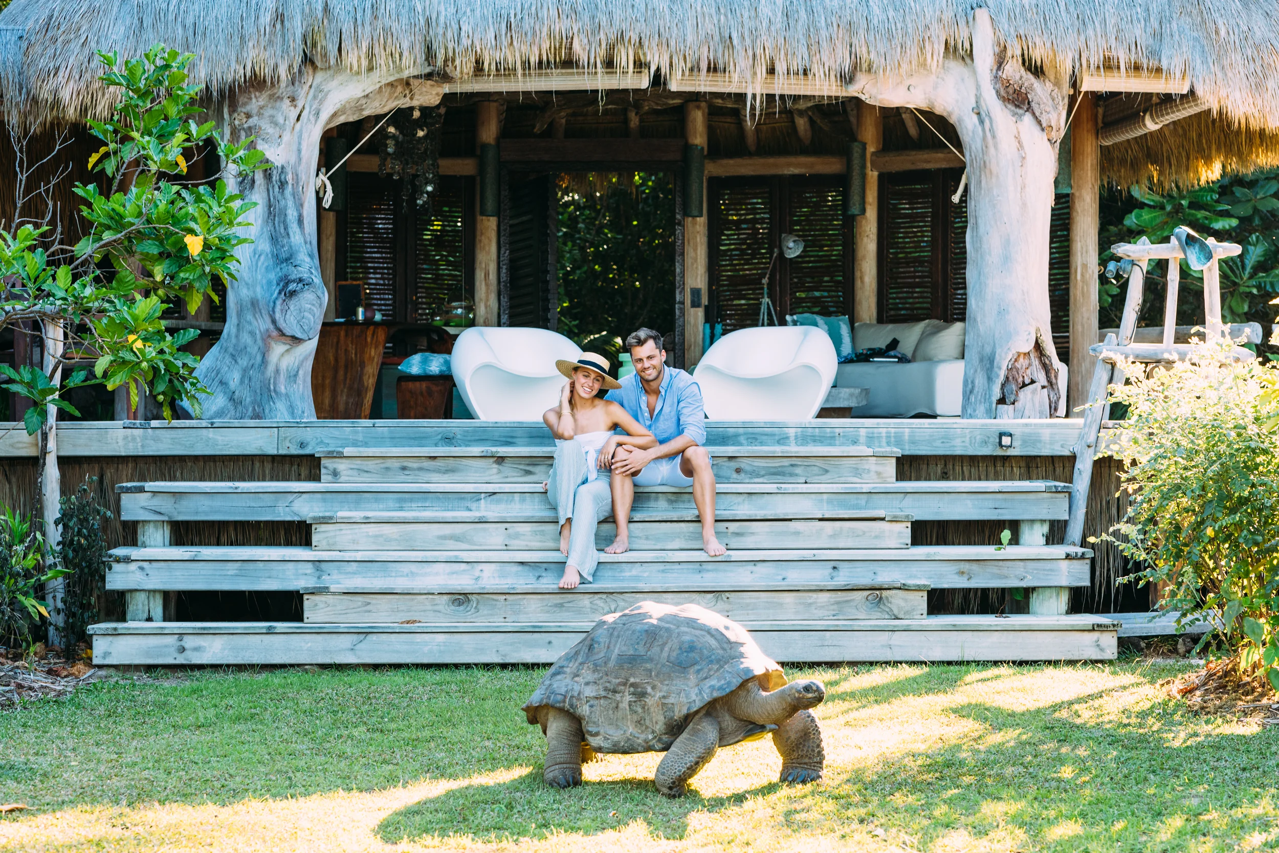North Island - Tortoise in Villa - 2500px.jpg