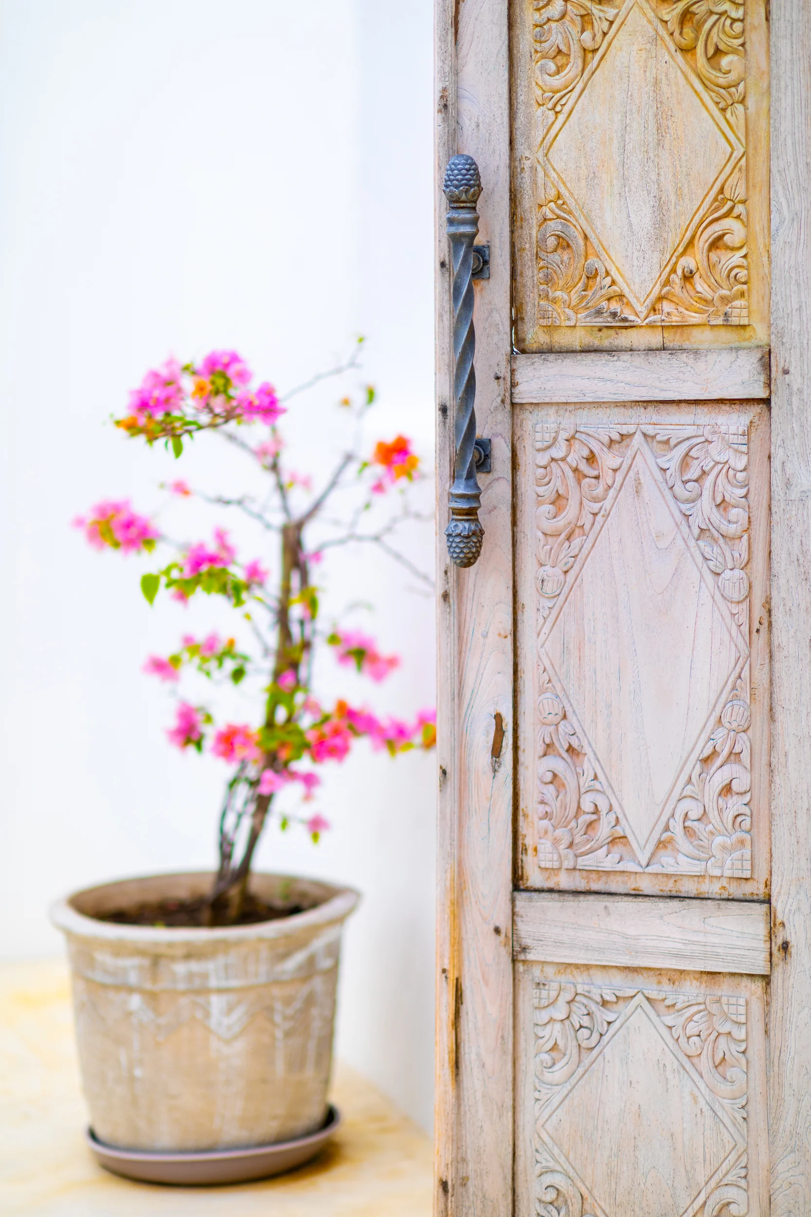 Santorini Mozambique - Detail - 2500px-9.jpg