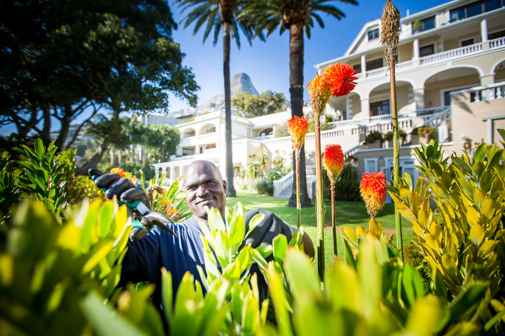 Gardener 2048px 5D3_7952.jpg