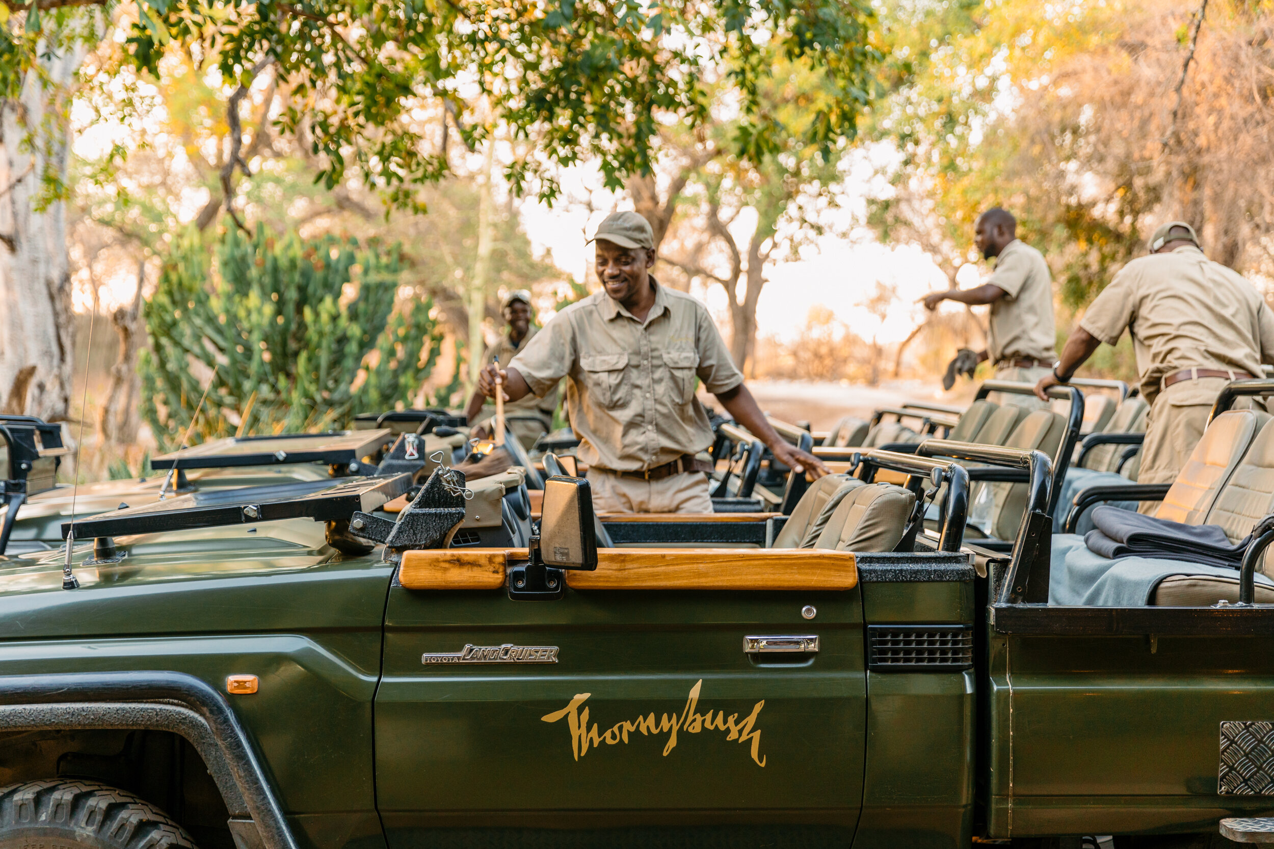 Thornybush