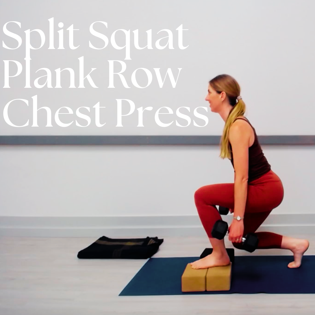 Split Squat, Plank Row, and Chest Press
