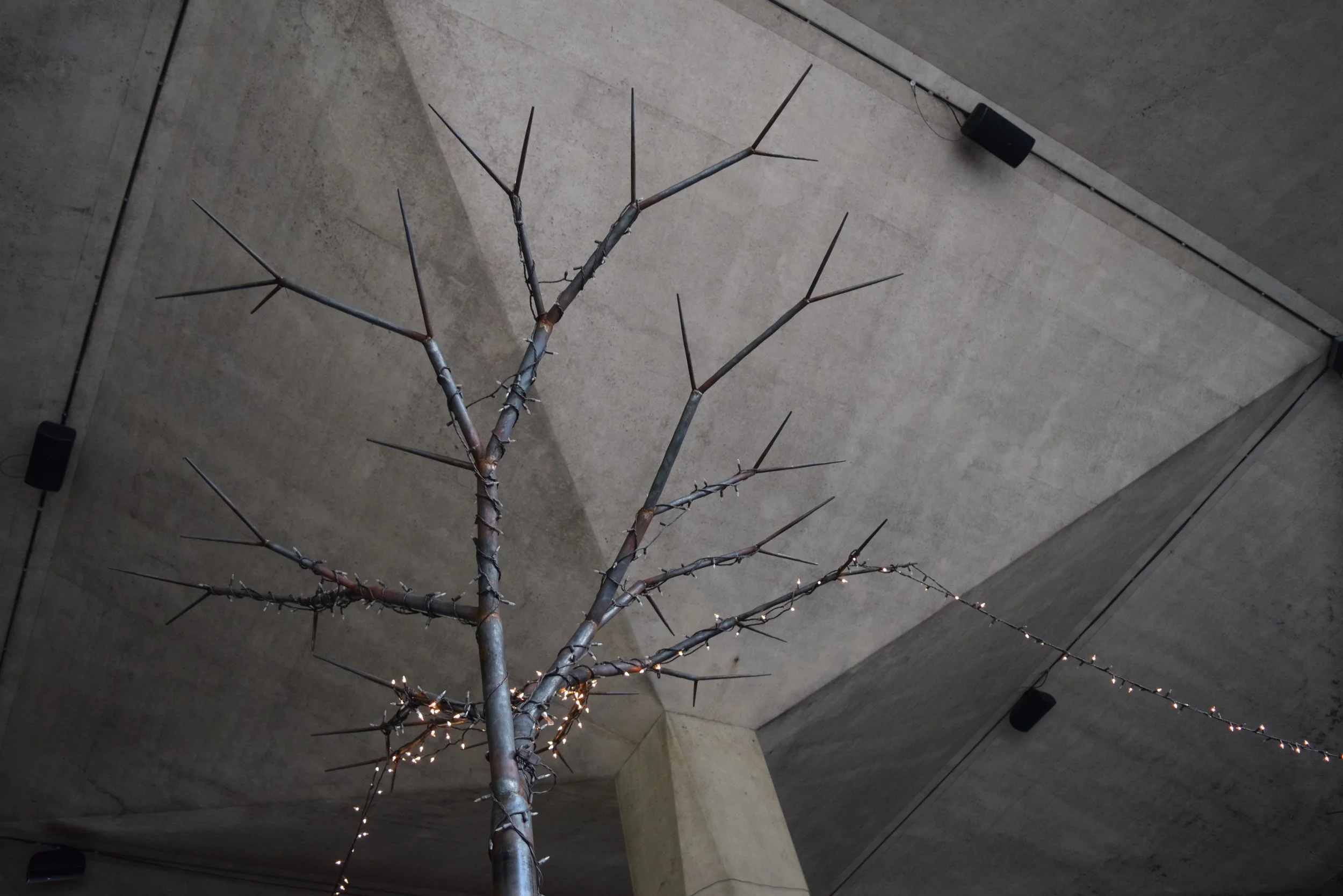 IBG metal tree looking up.jpg