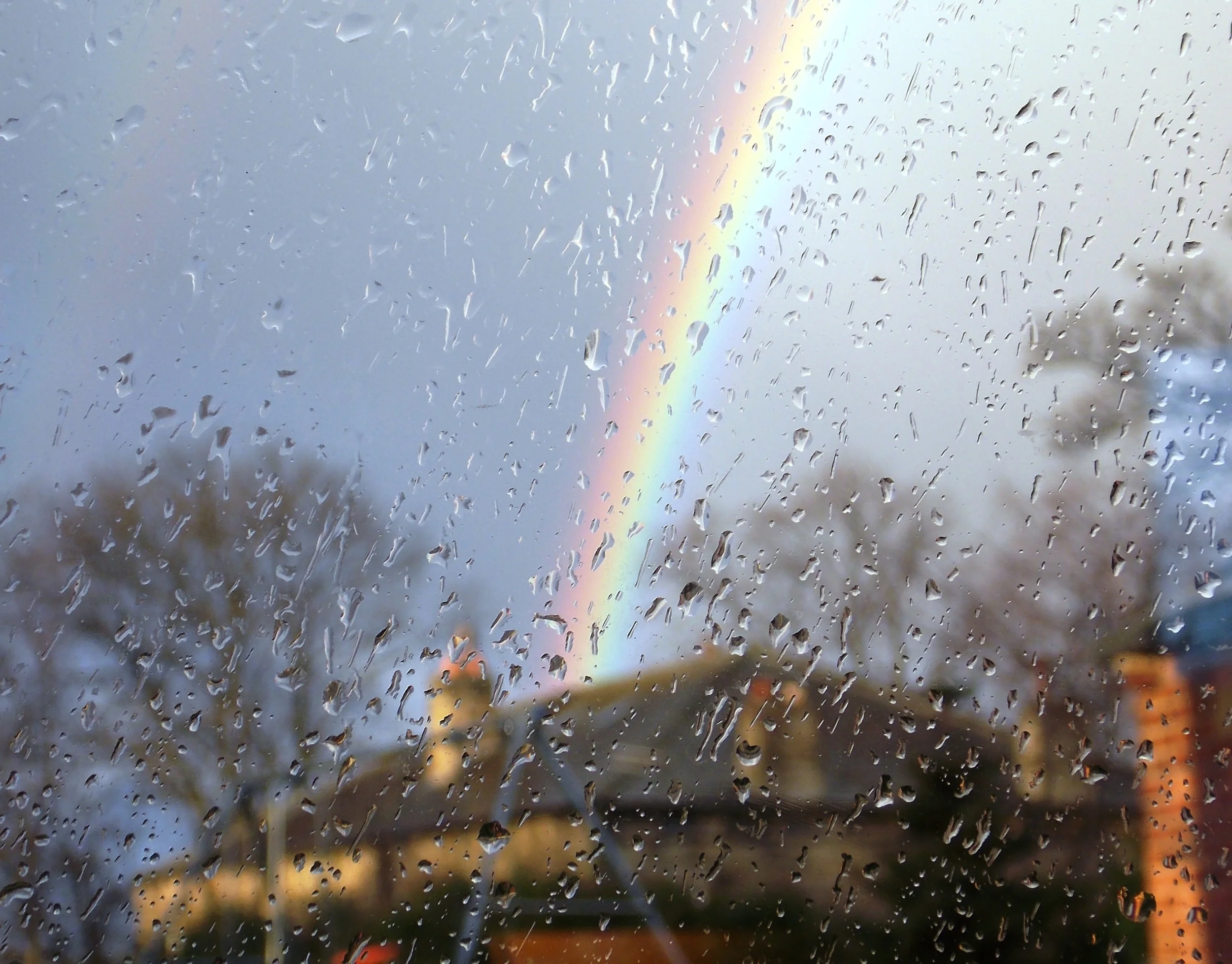 rainbow cropped and brightened 2.jpg