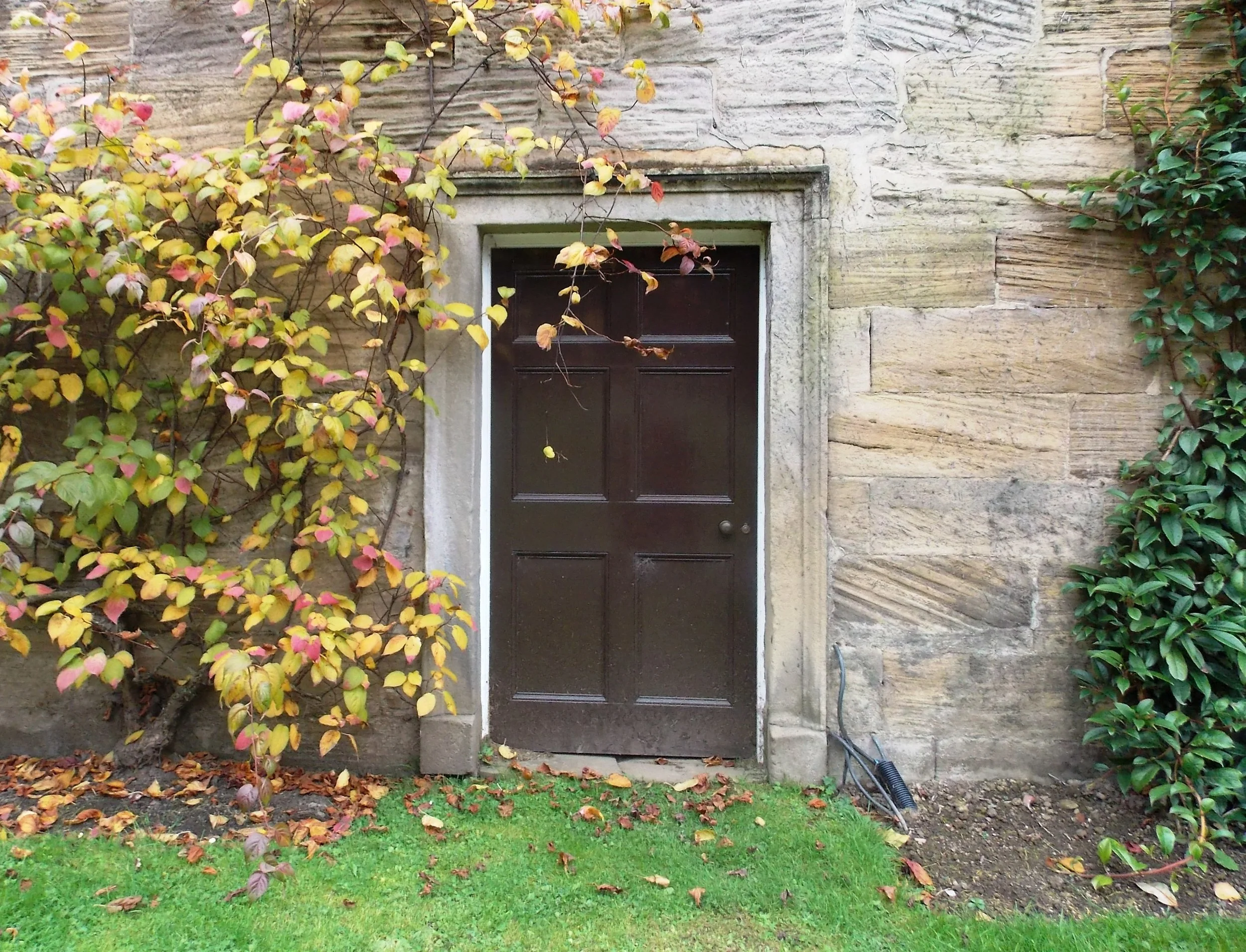 door cropped.jpg