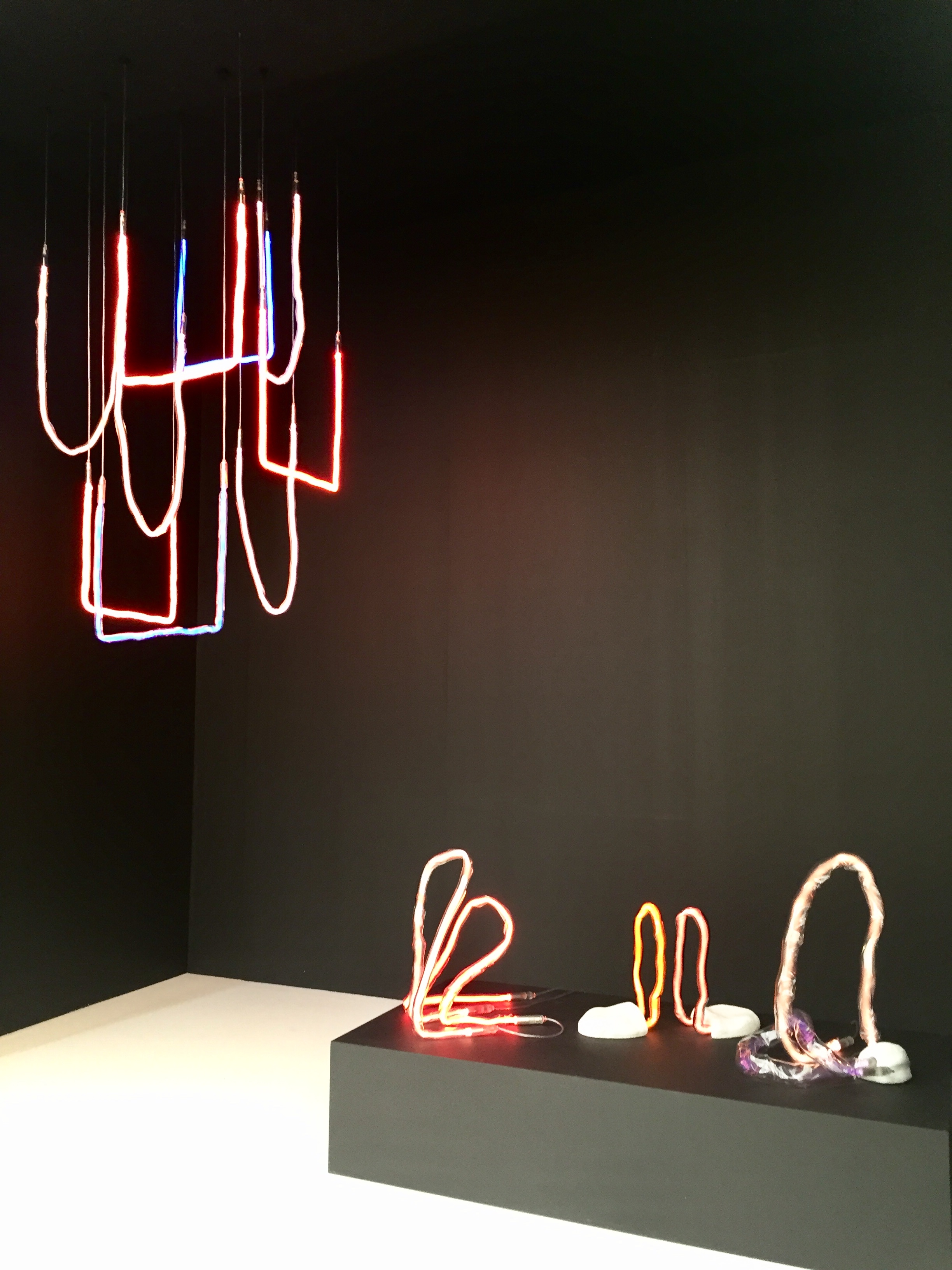 Neon Lights & Dark Walls