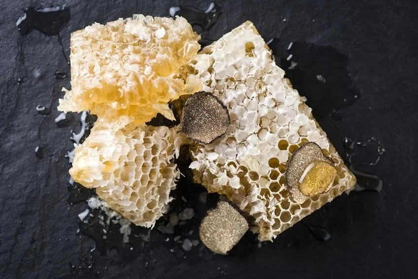 Tennessee Black Truffle — Regalis Foods
