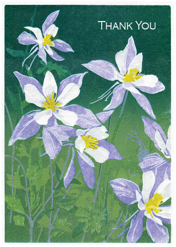 Sherrie York
