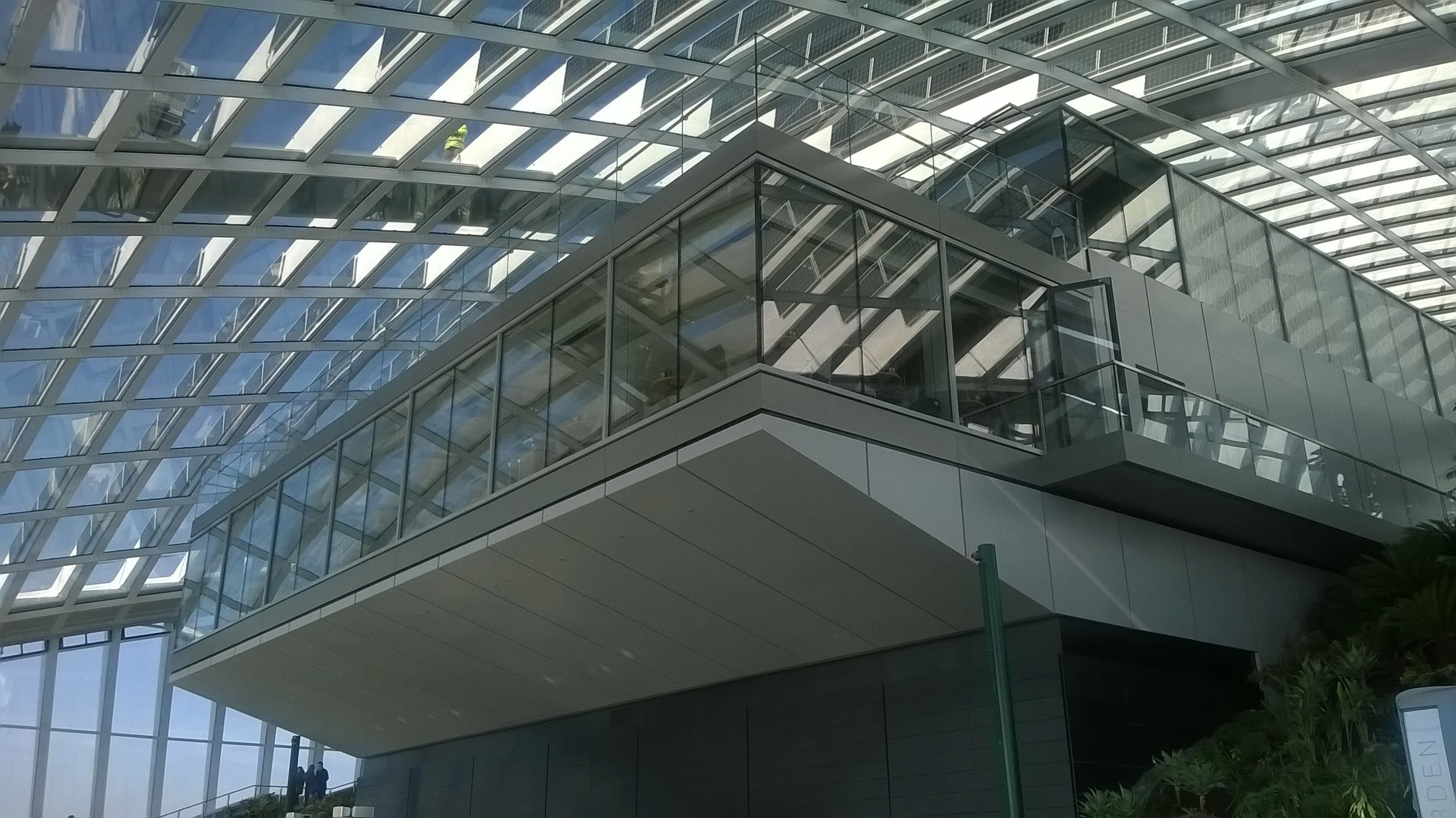 Greg's Lumia 520_20150123_022.jpg