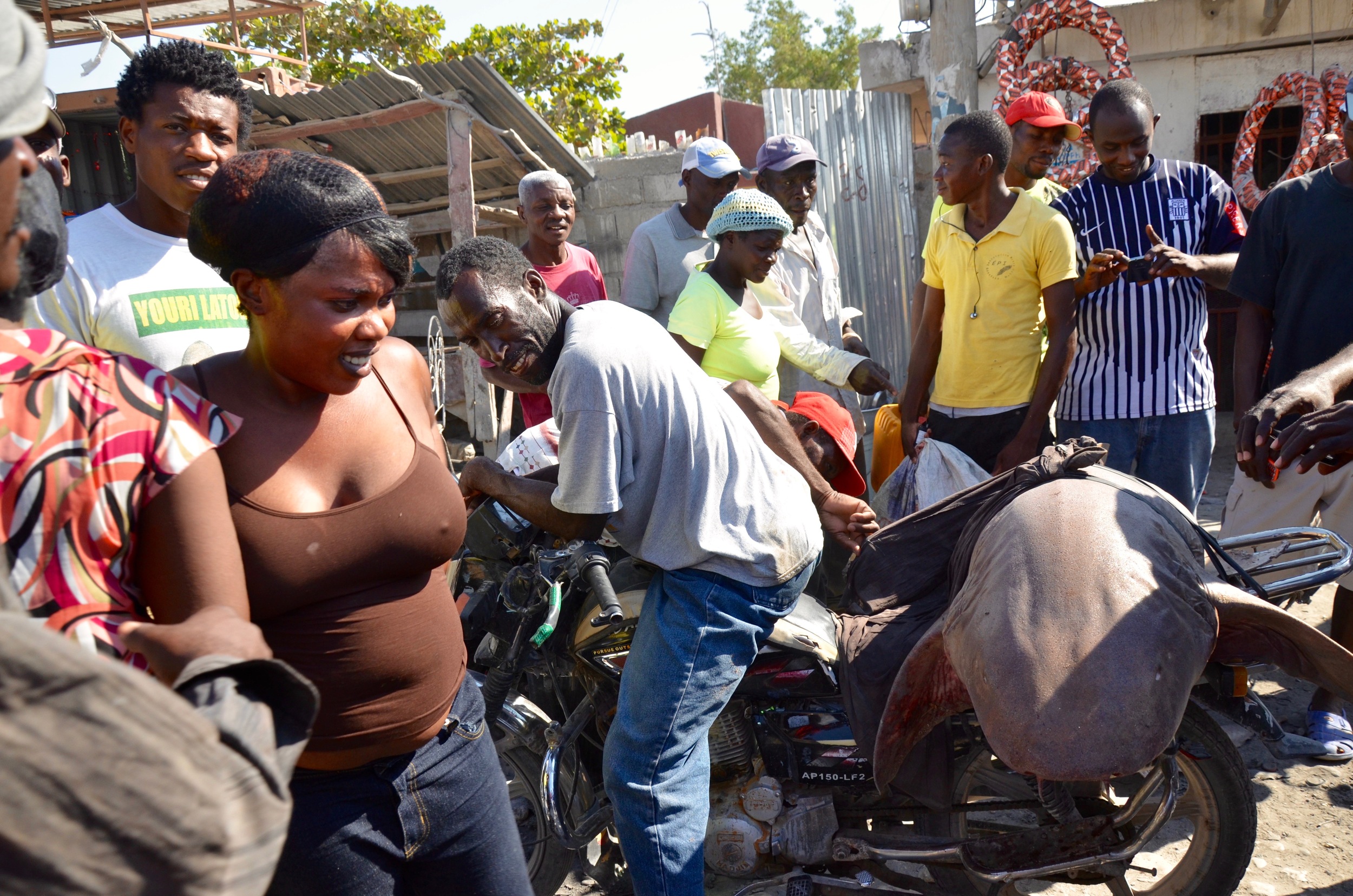  A local fisherman flaunts his latest prehistoric catch. Straddled upon his "moto", people stop in the streets, creating a traffic jam while everyone is in awe of the slippery fish. 