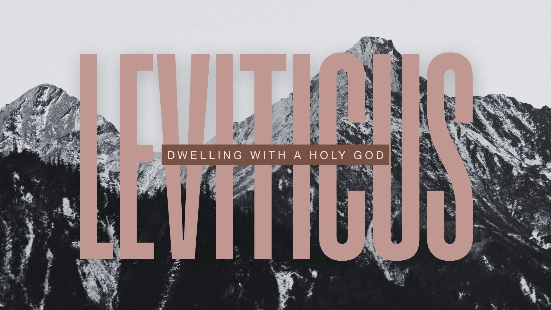 Leviticus Overview