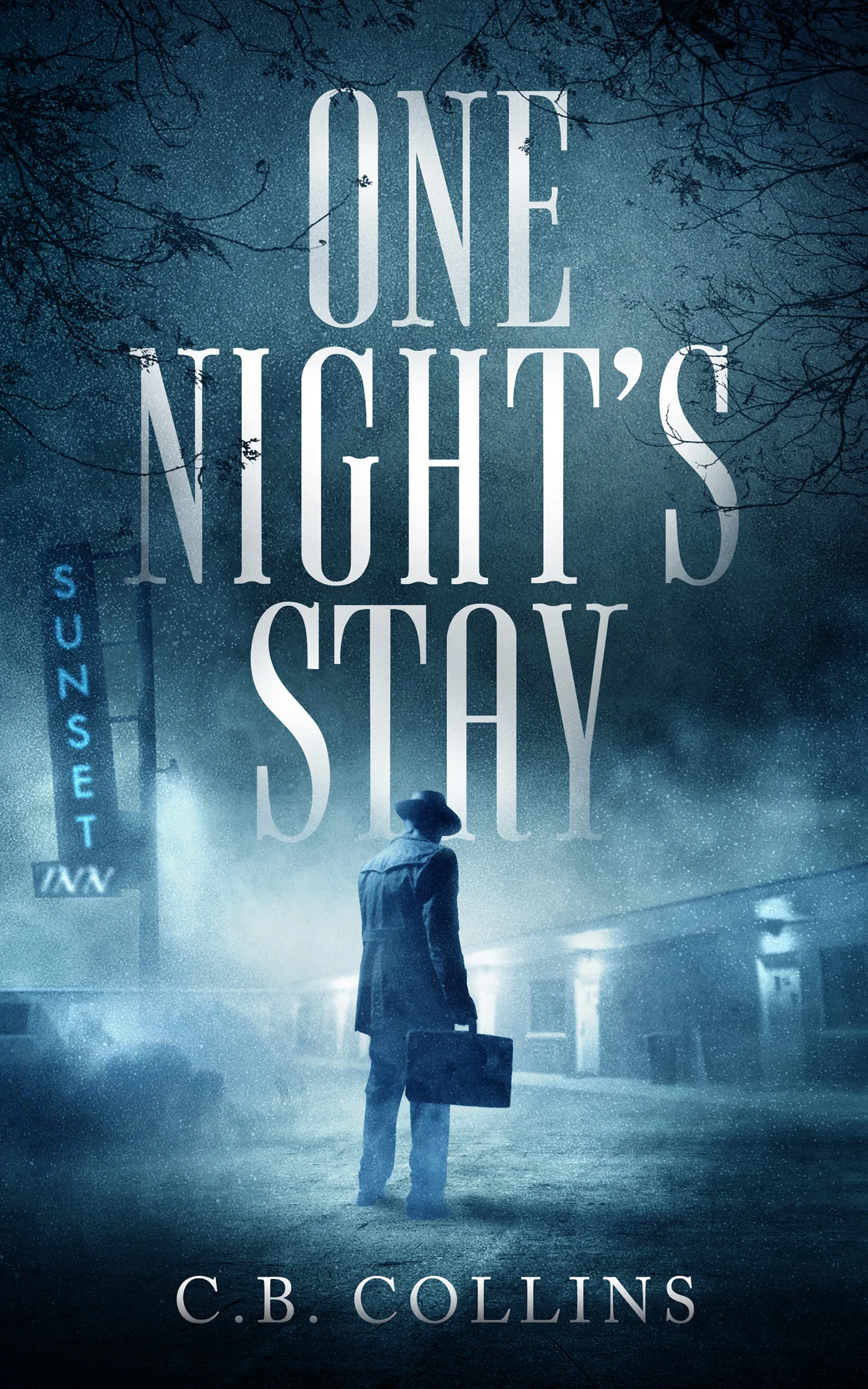 OneNightsStayCover.jpg