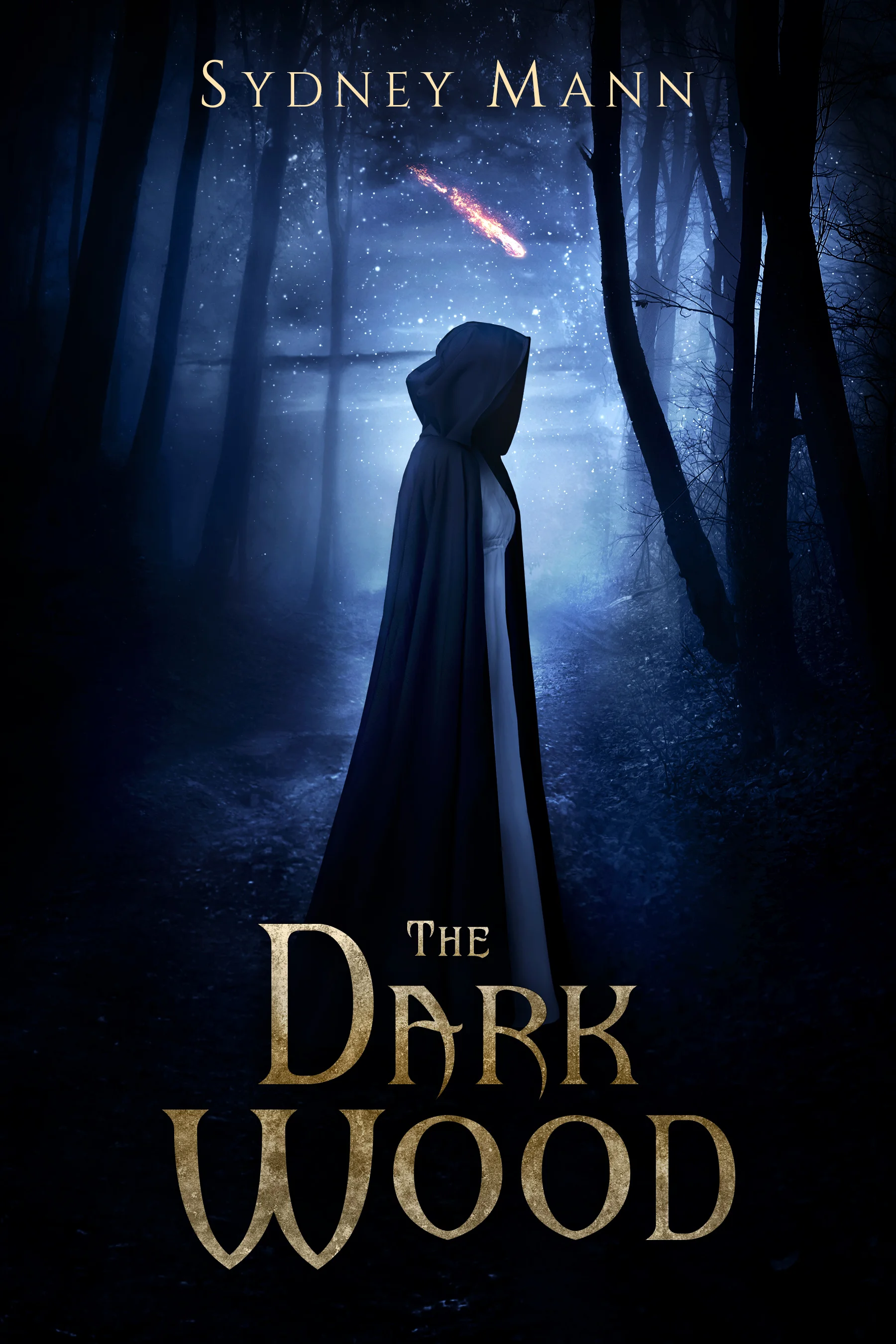 18-110 Sydney Mann The Dark Wood.jpg