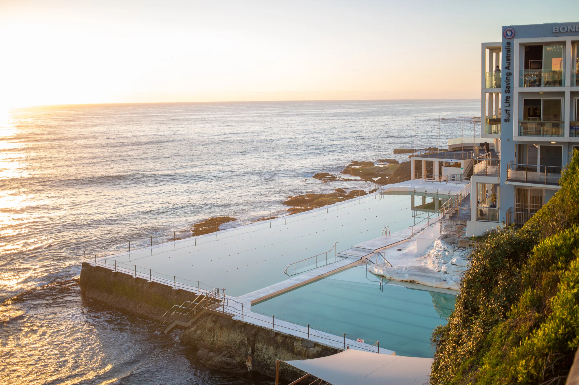 Eat Real Food NYC_Bondi Watsons Bay Camp Cove_by_Luisa Brimble-105_.jpg