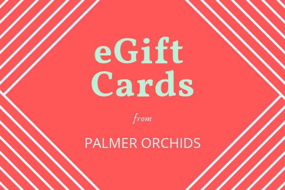 eGift Cards from Palmer Orchids.png