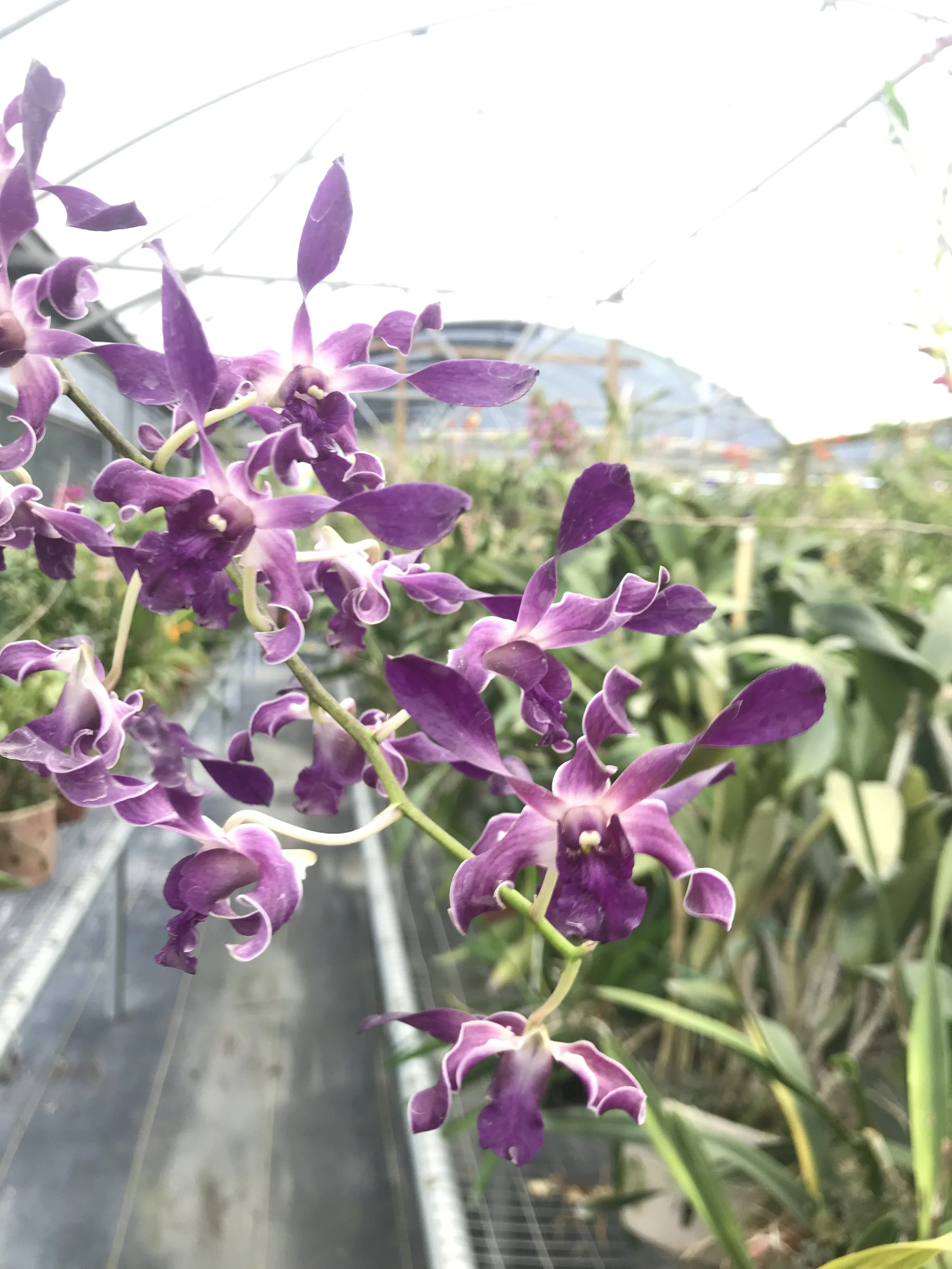 883B5549-3438-4CF3-AFF6-27E5AEC5EA67