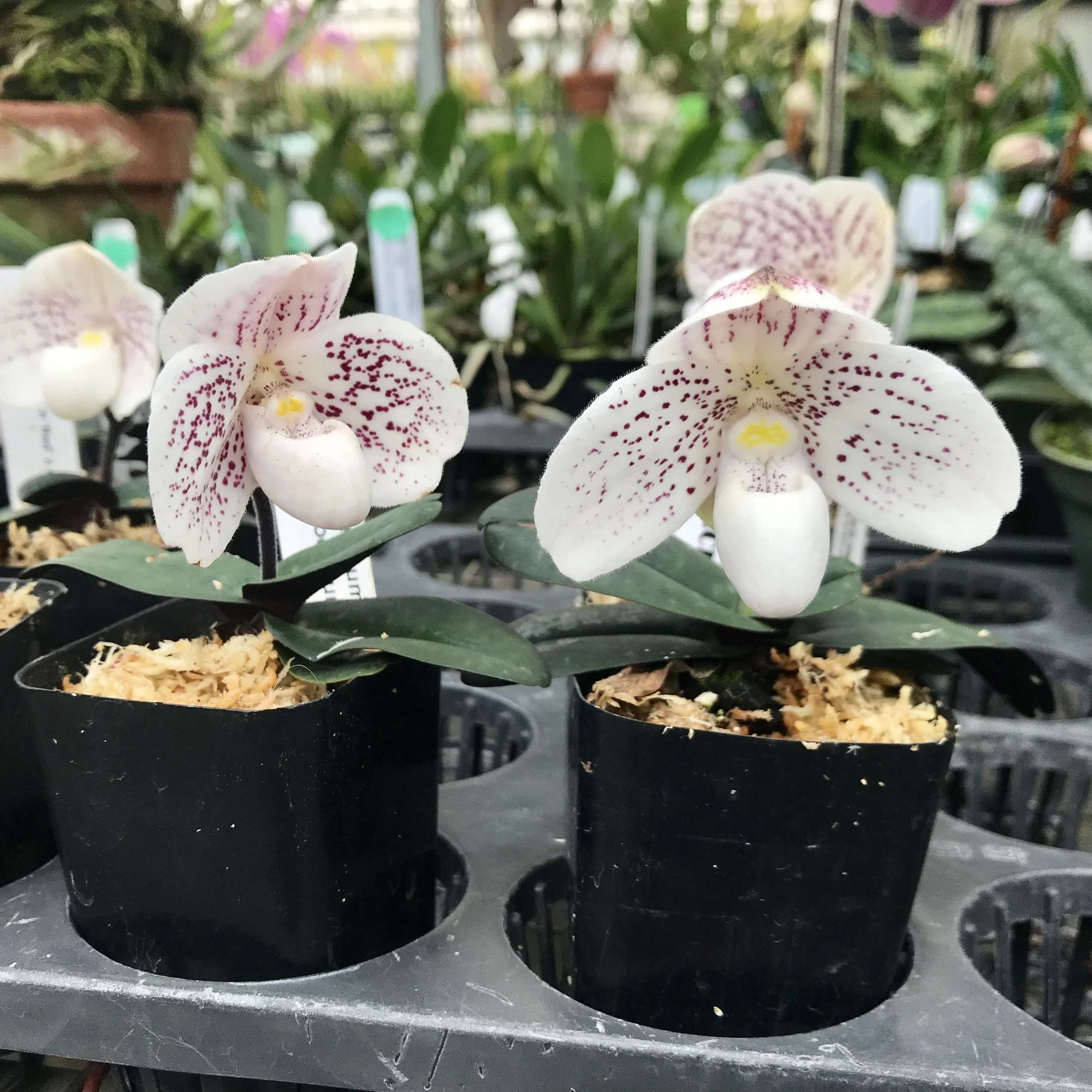 72463A64-8C07-4D3F-B0F9-563E72B125C8