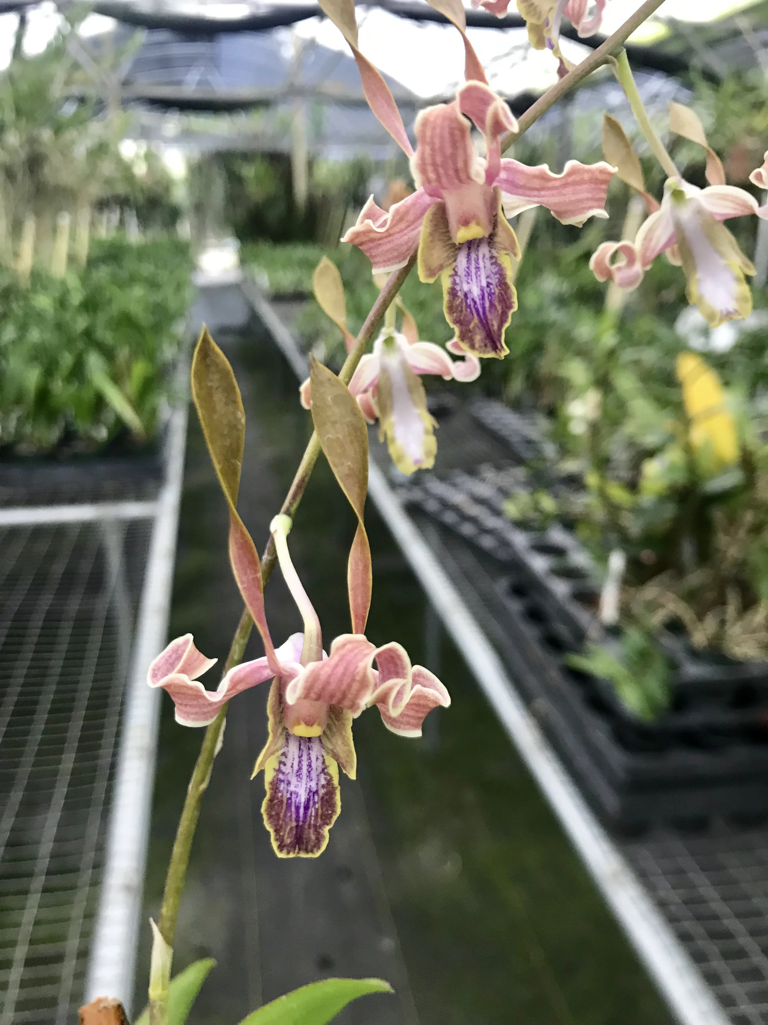 8391B75A-A75A-4285-9DFA-188AA6252928