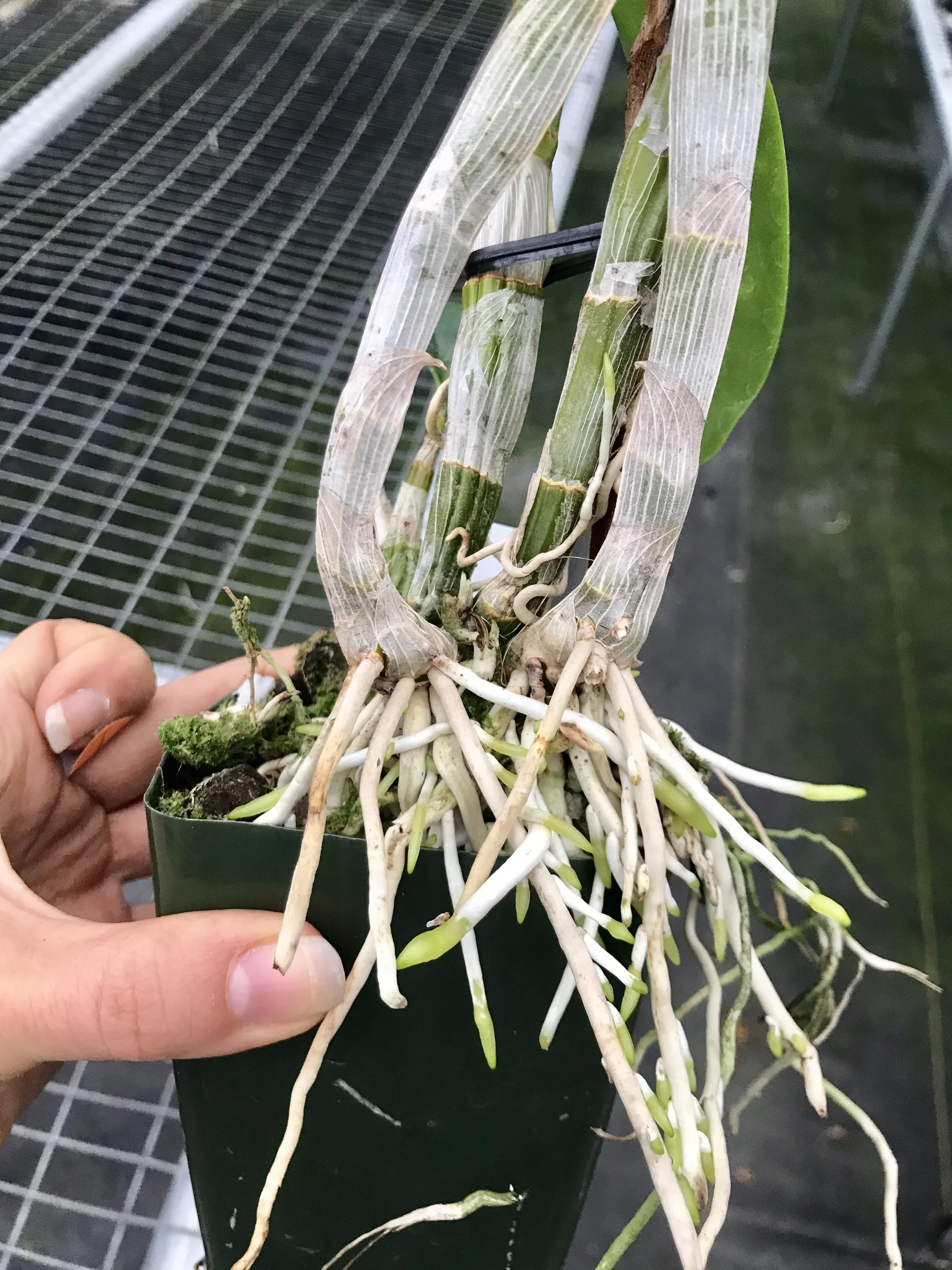 5A3F3757-3982-48A7-9940-F7A222951C94