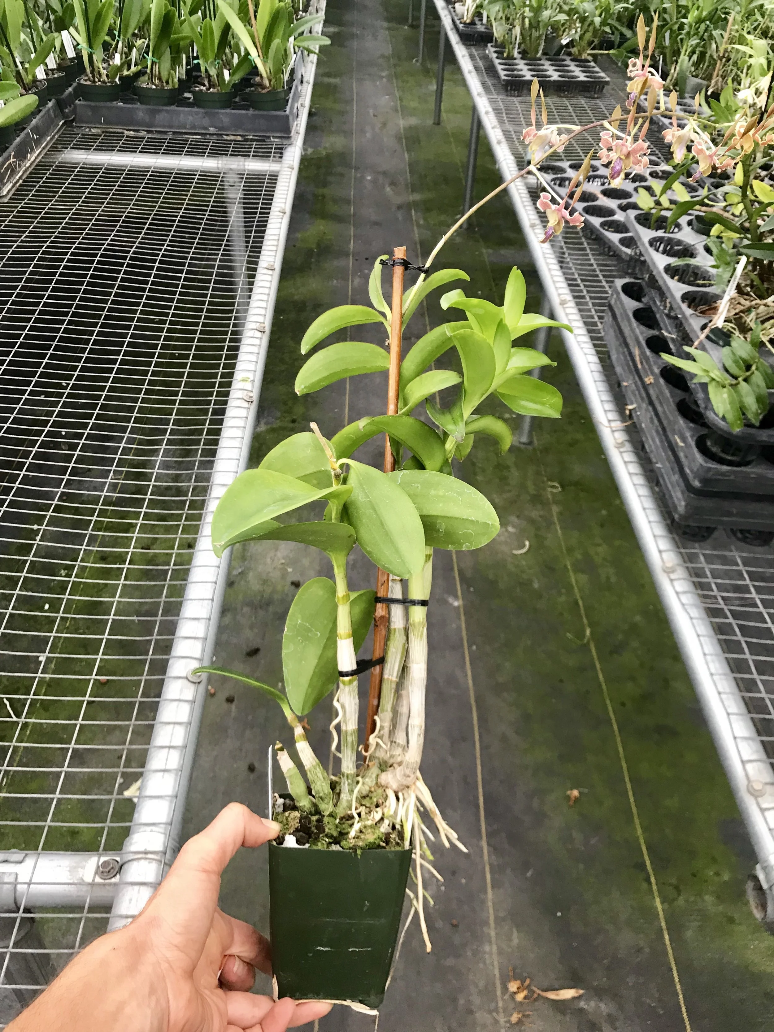 5B85E8B8-781F-4B28-B429-C5CA639DA2D2