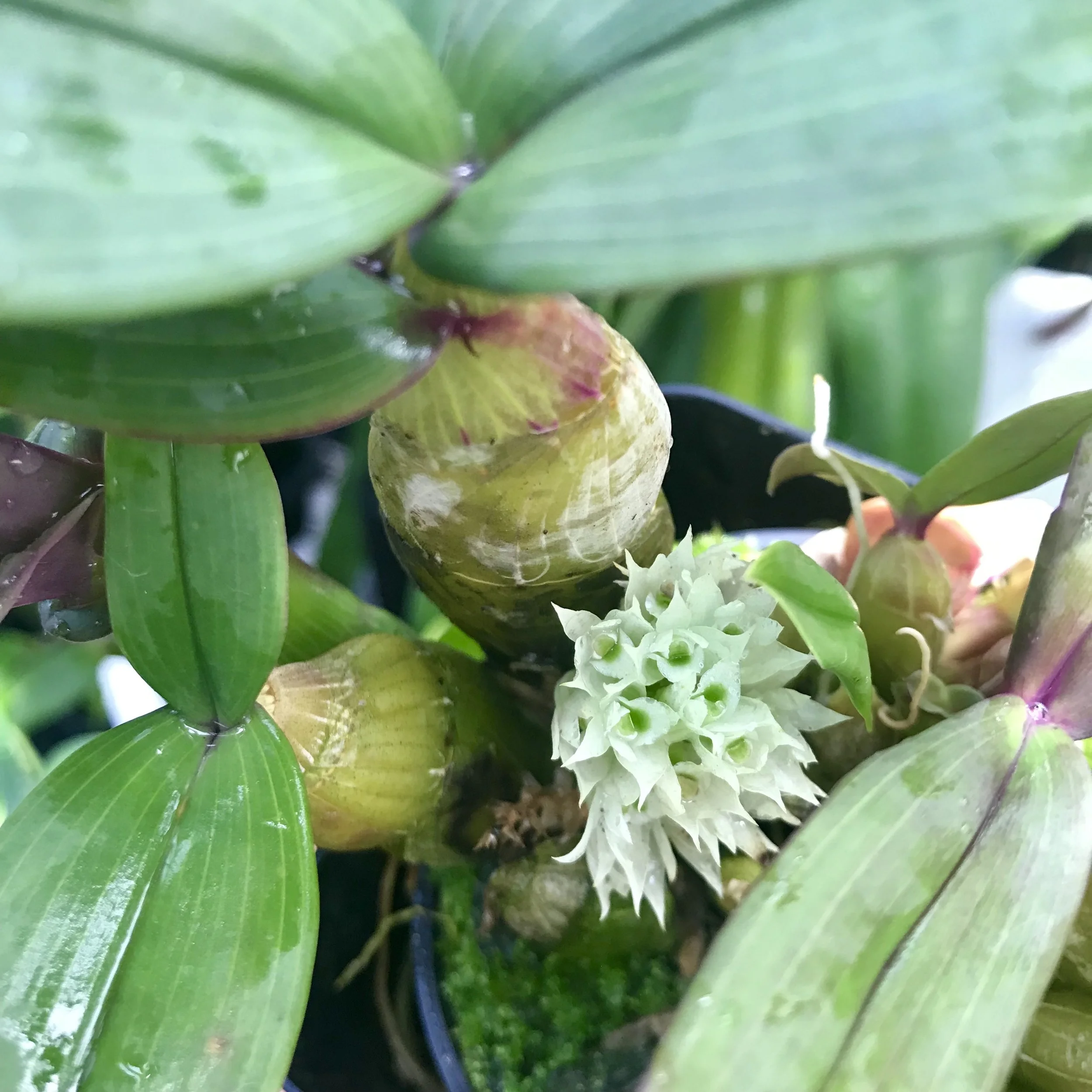 1DC938B6-5448-461B-BD72-16DF31C621F3