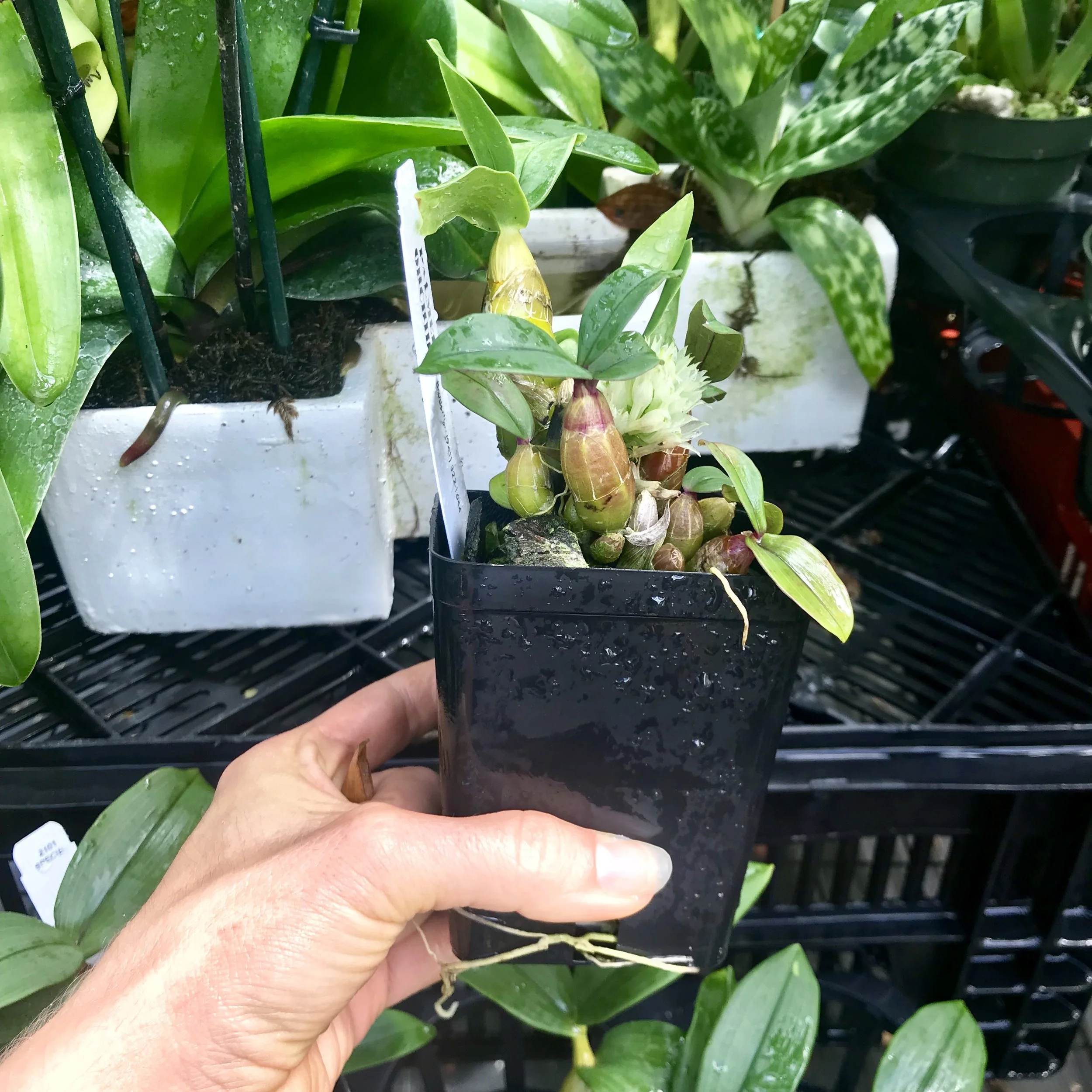 5B4D82B4-C08D-4DCE-BD51-9BAFB87AAAE9