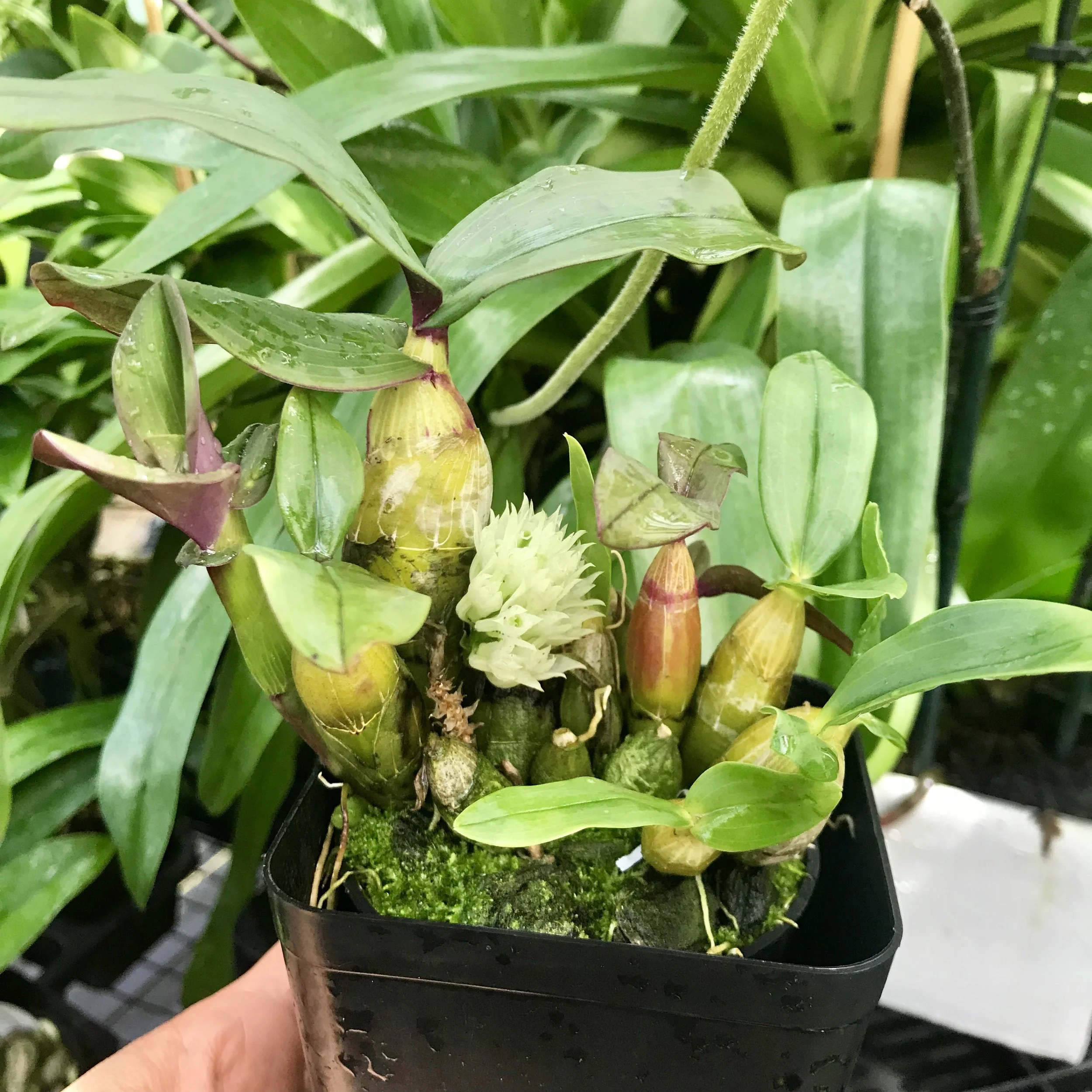 B32C91D9-C846-4824-AA57-44FED55FD030