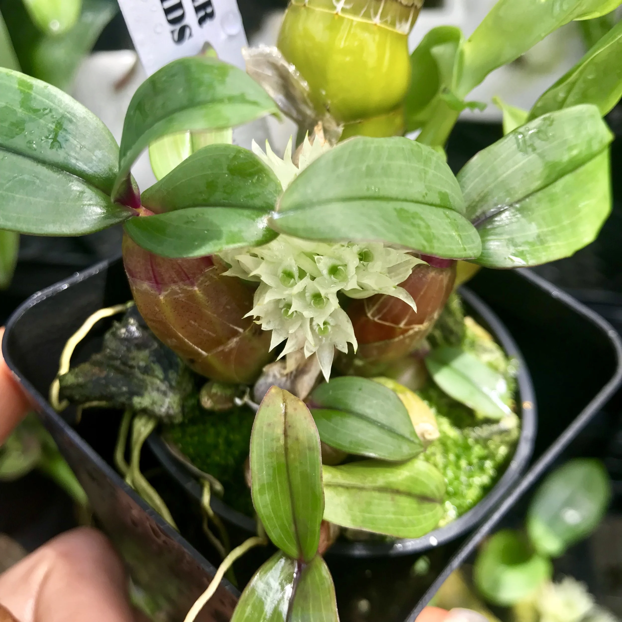 15CEAF99-0C3F-41B6-8237-1EC825426262