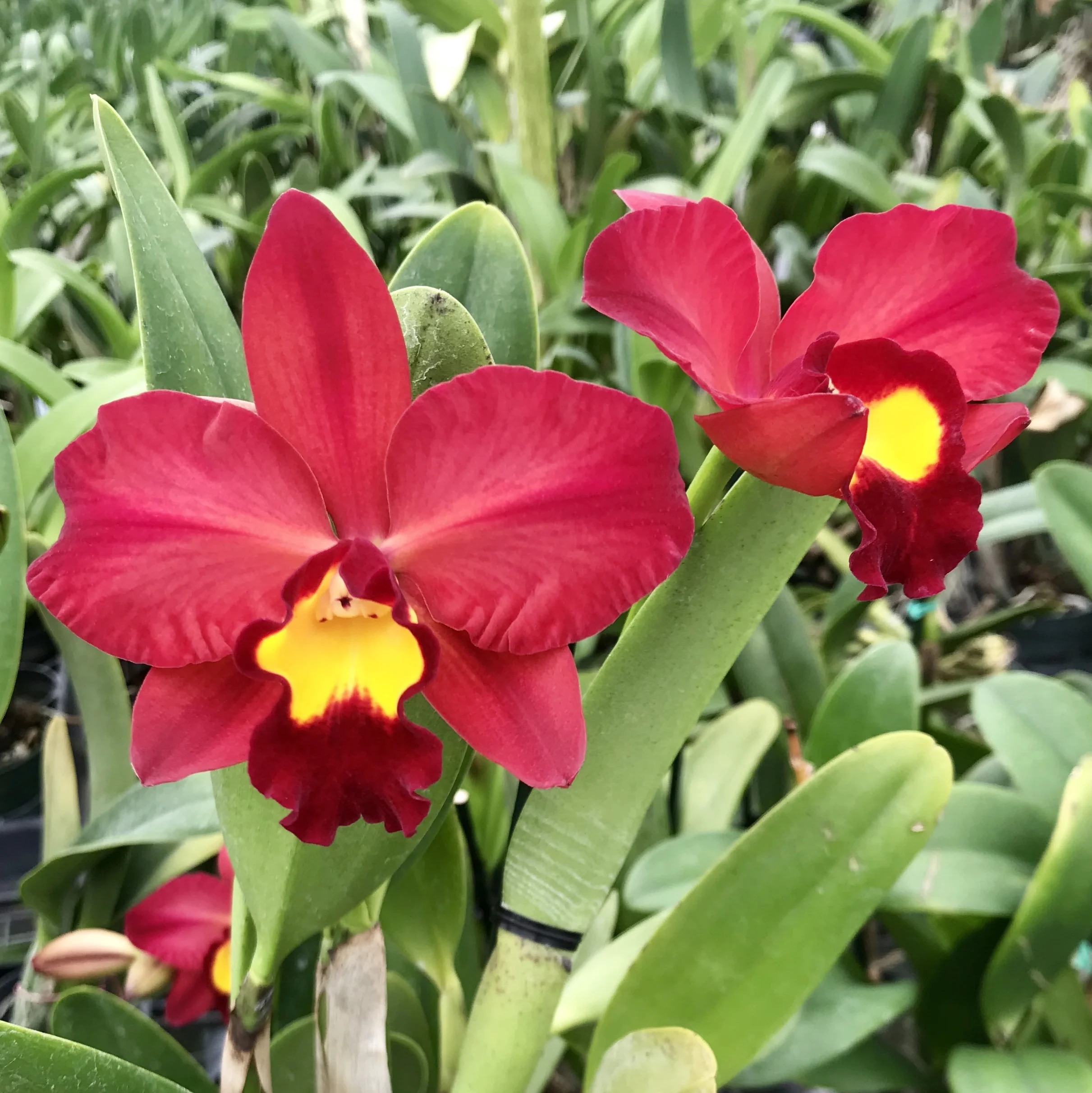 0B471D81-2FE8-4735-A311-EF9A5D6EDEBD