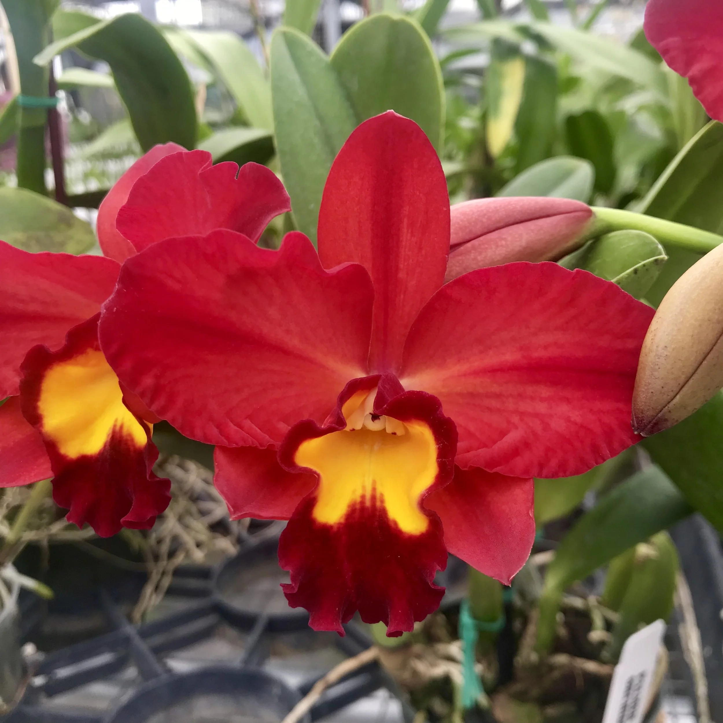 B27EA316-48A6-463B-87B6-EDA5CB586FA4