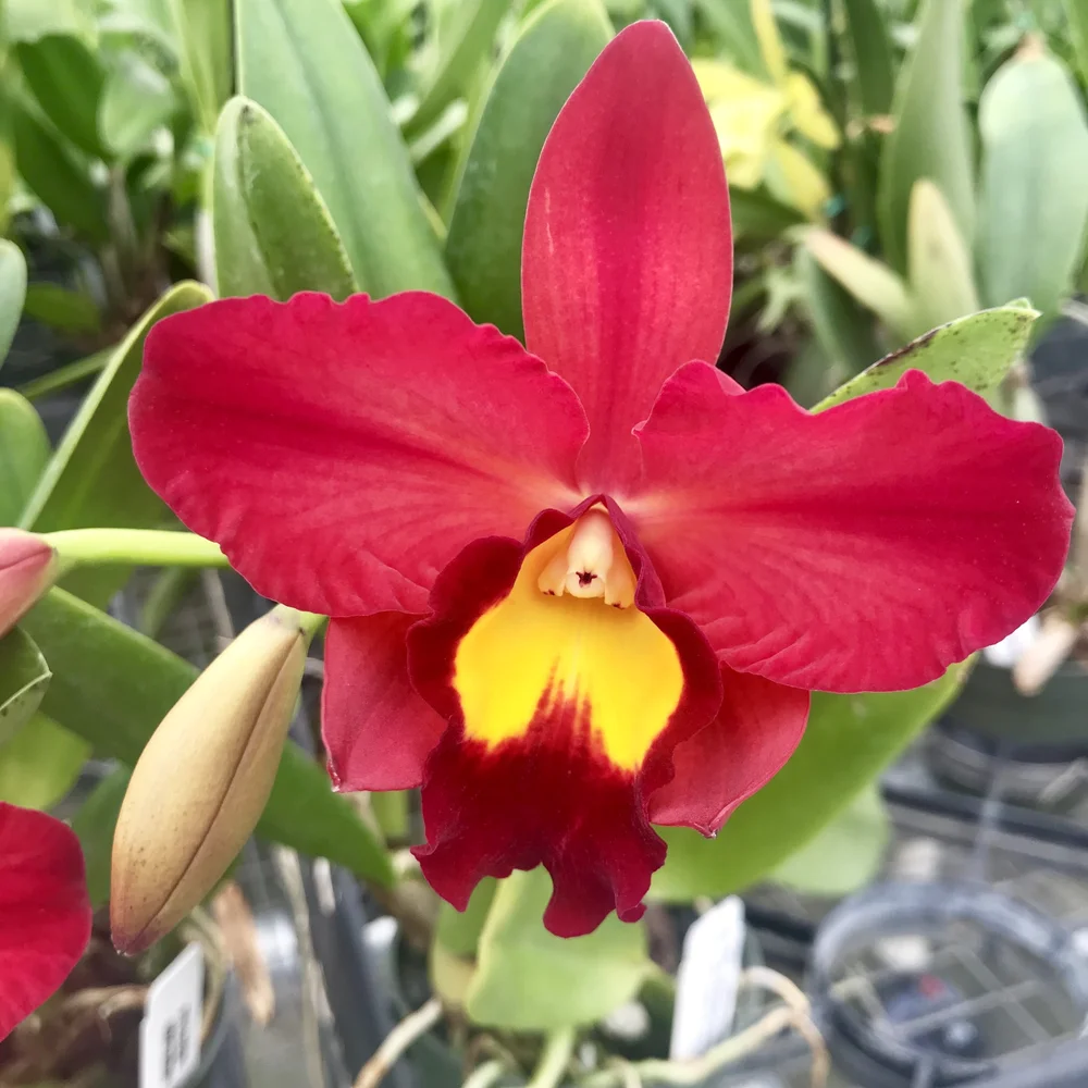 AC2D2A60-E547-4C27-9018-