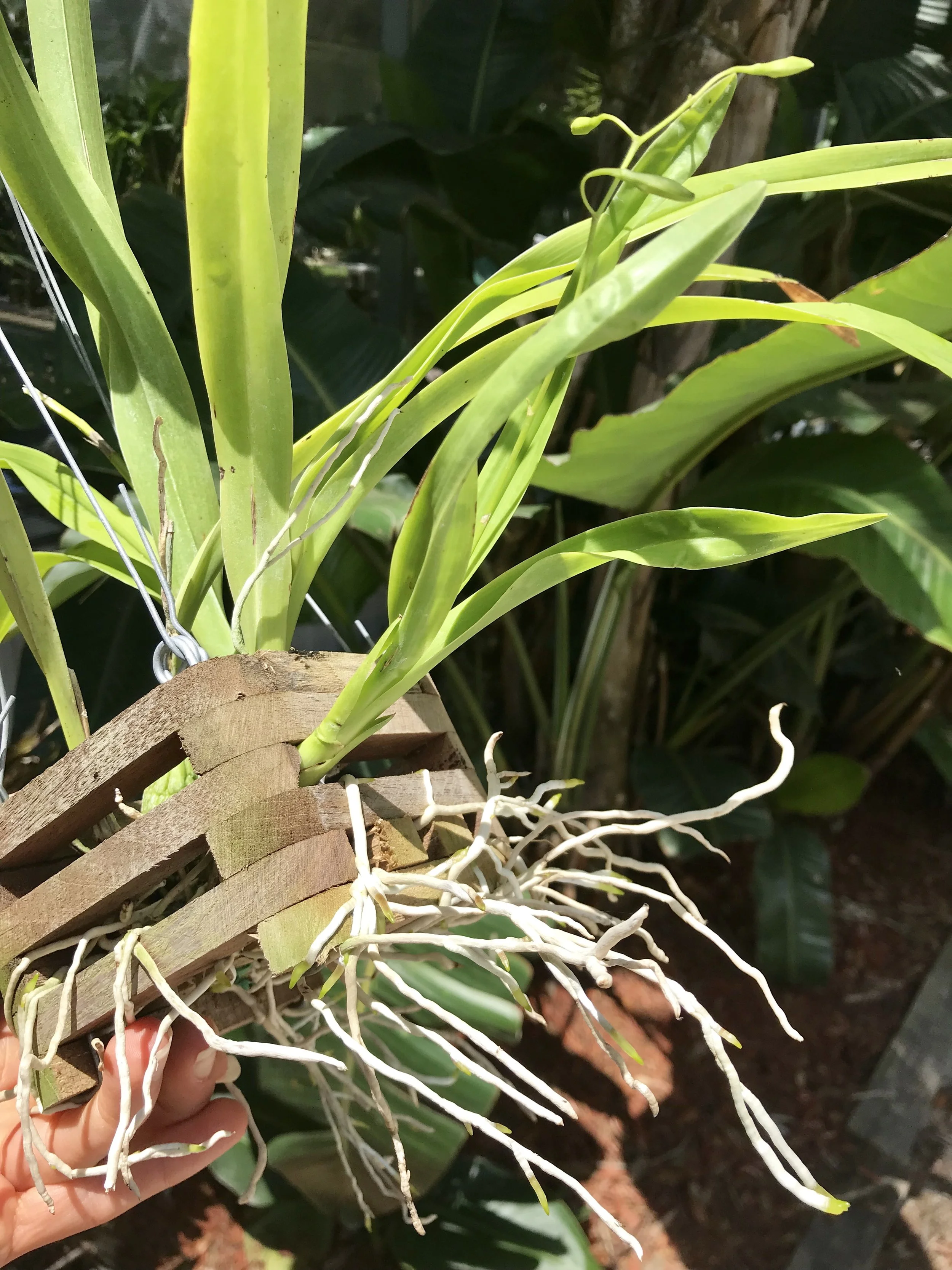 51ABFCB7-2384-4EE9-95F1-62F59C725838