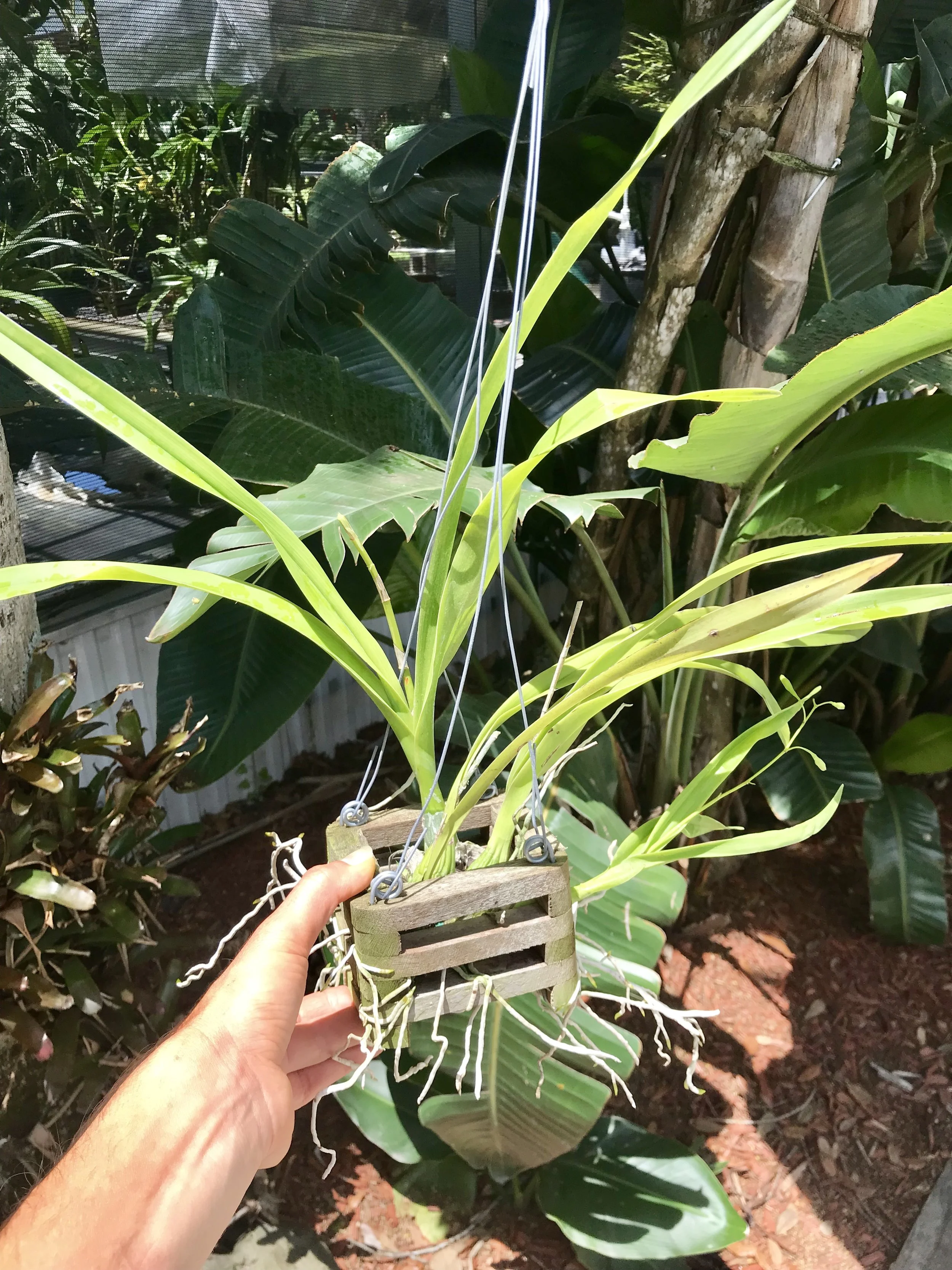 AC90CEE3-F678-4905-A77F-5D5A64AF3BB1