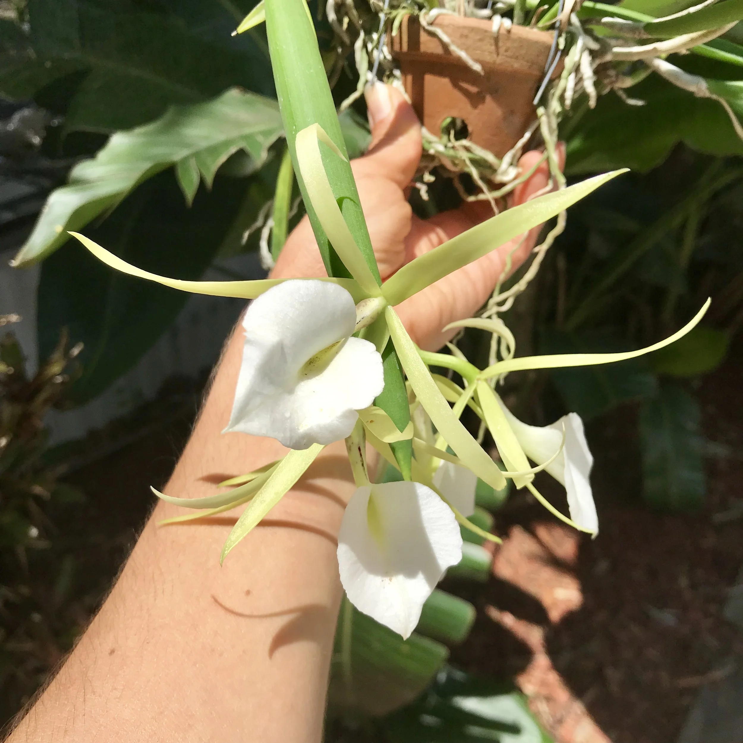 9B0F61A8-134F-4C74-AF78-C4138A1B630F