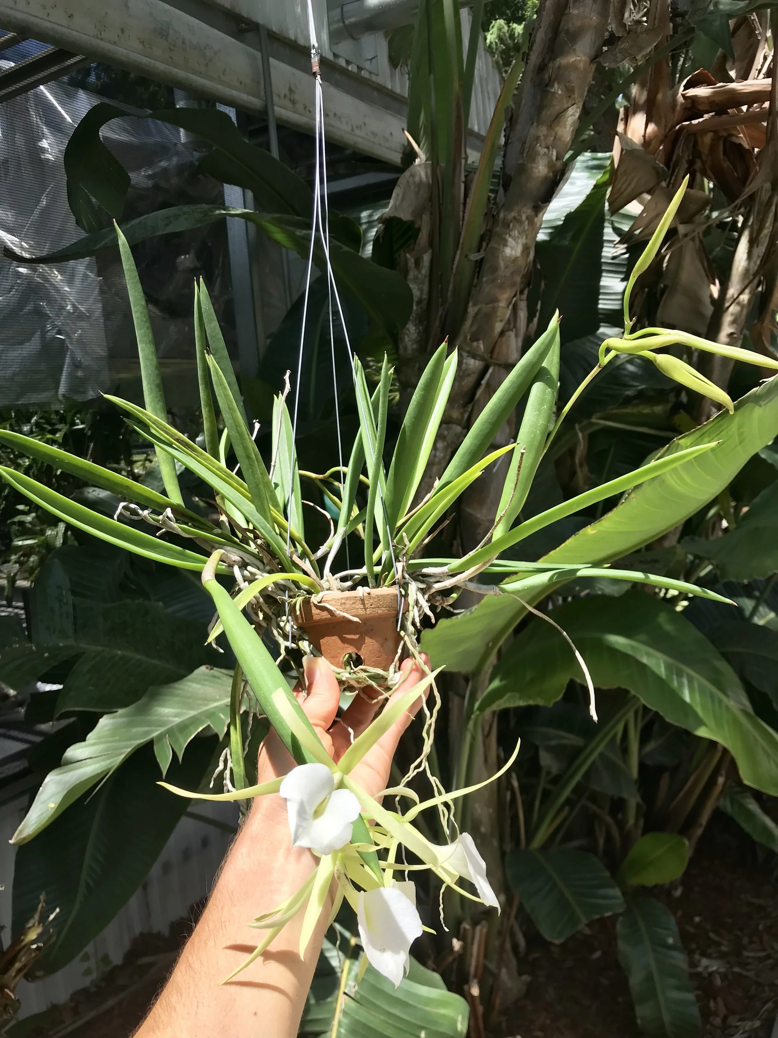 12E37E60-9418-4EB2-931B-1F6D260ABD96