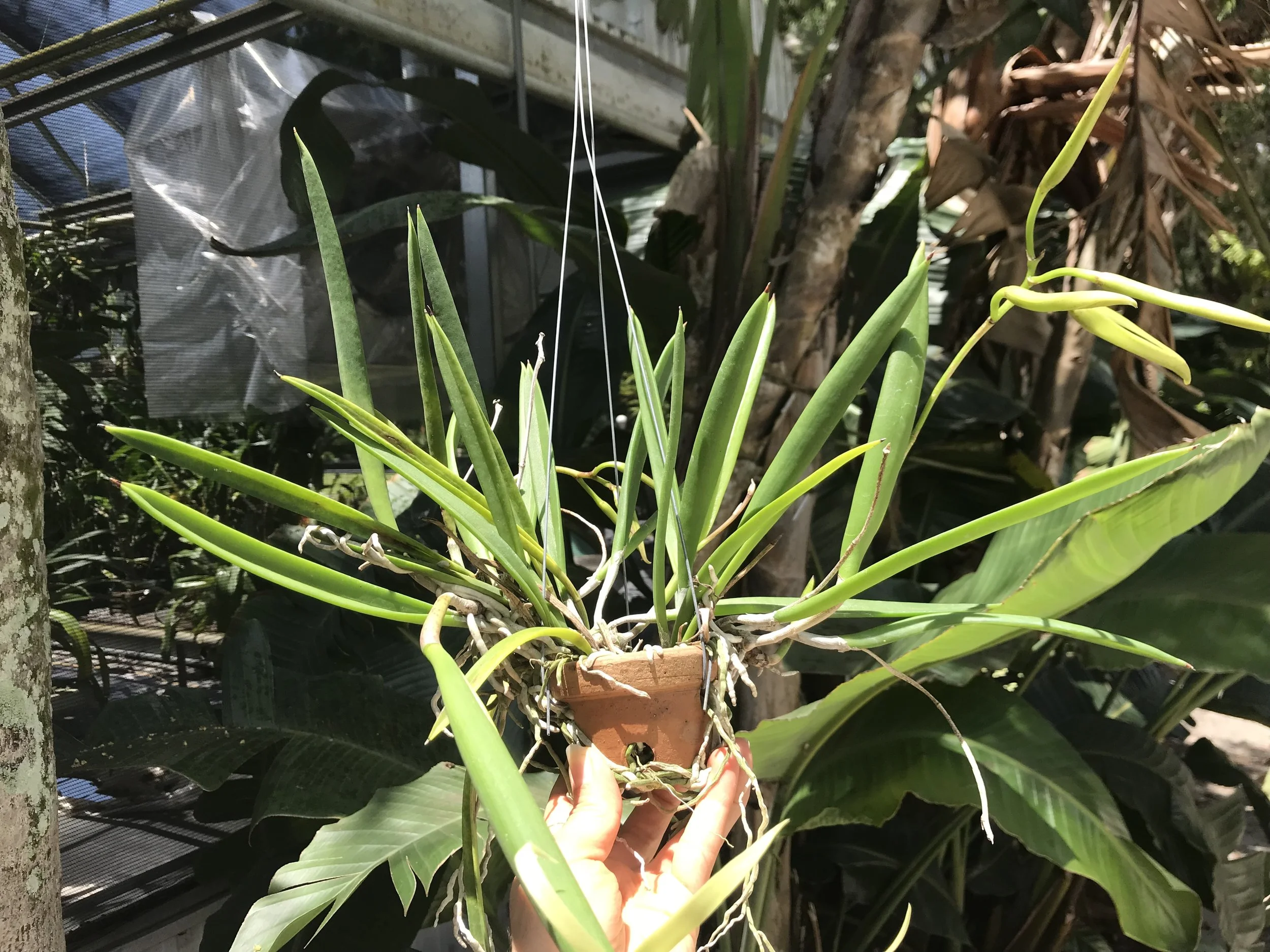 A29E76F5-71A6-4D39-AF4F-5692ACE331D7