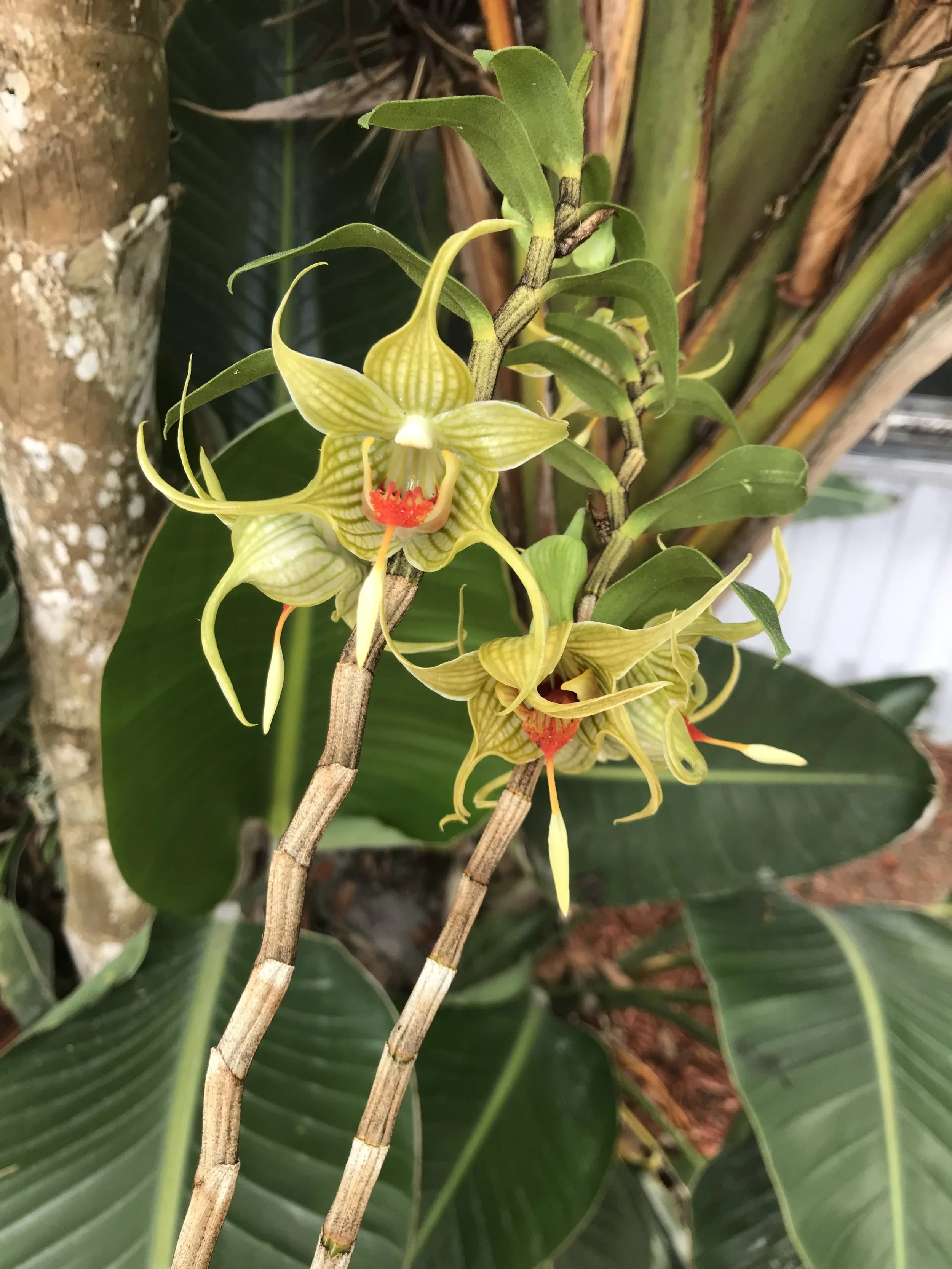 D1B4E3C5-D51C-4B8B-BF6D-E0737DDD6EF7