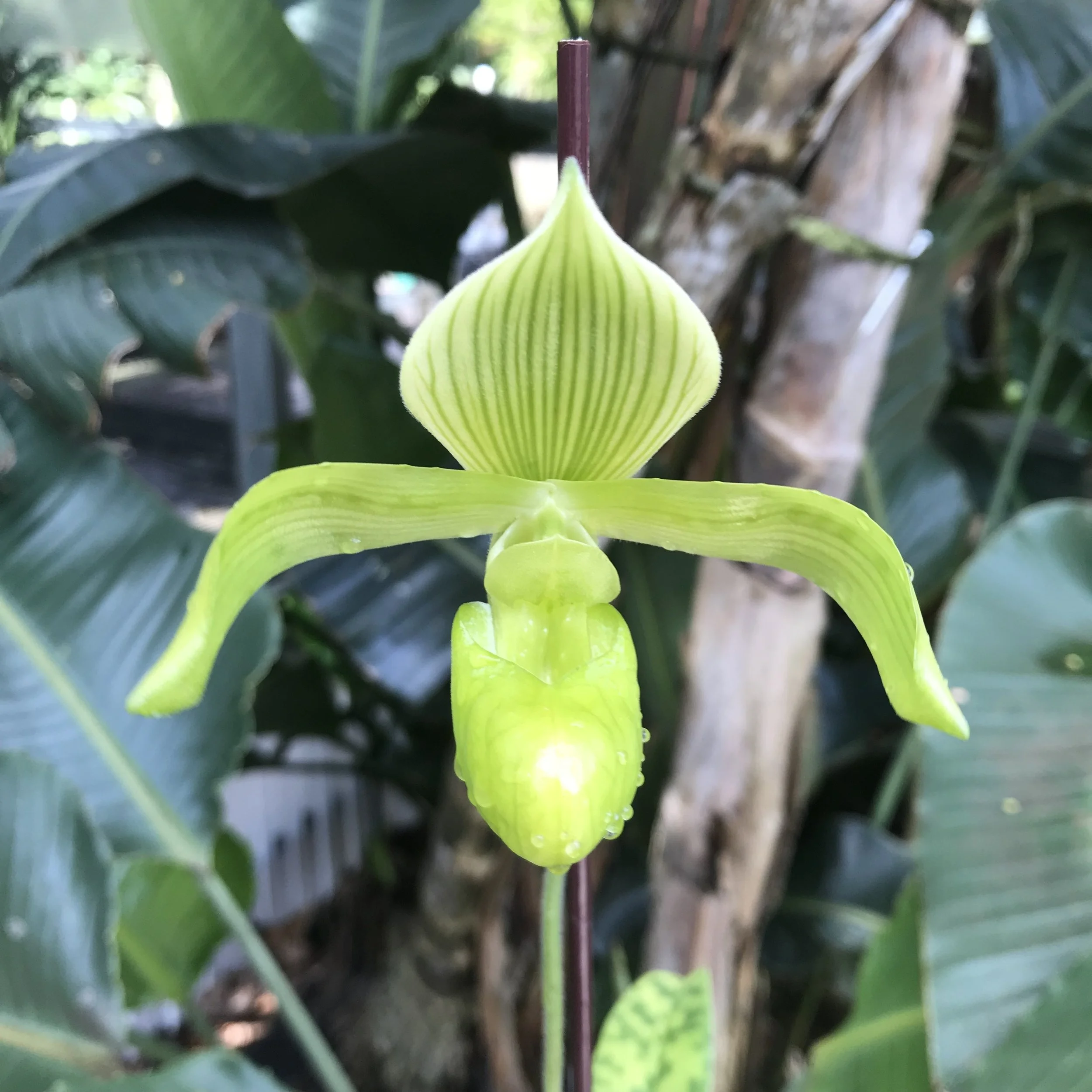 6A5628B3-9EA1-40E3-9F33-1D412B787FA6