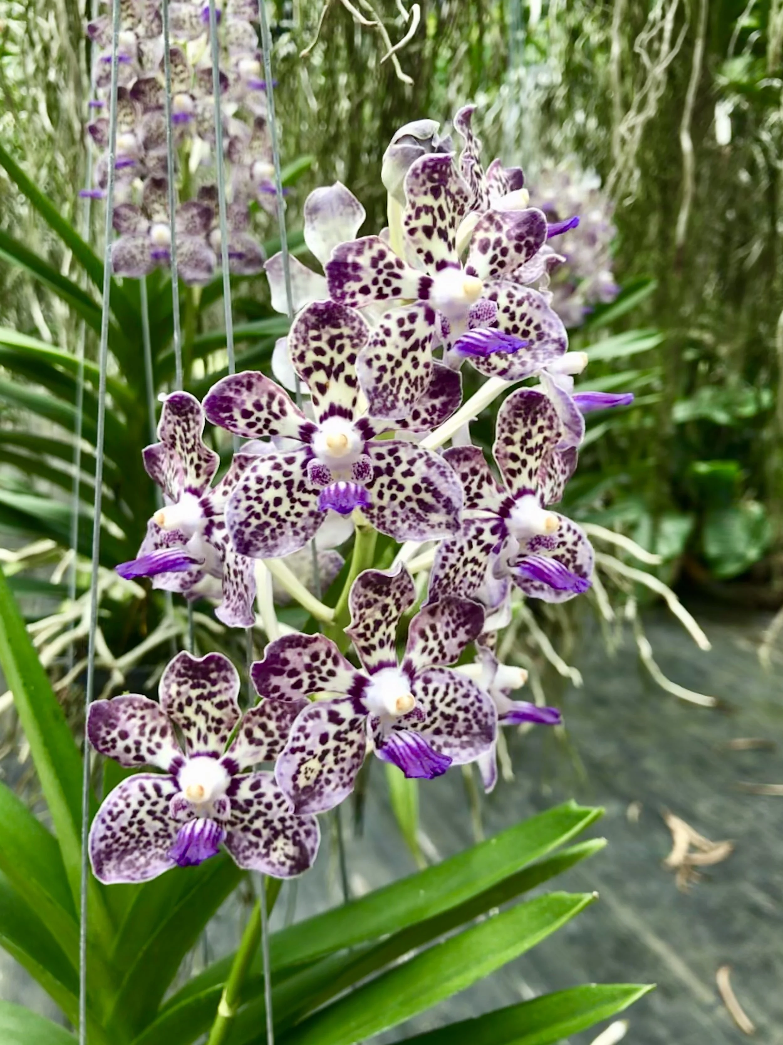 B39EE6E6-21C2-43A1-B908-C019E3E33F23