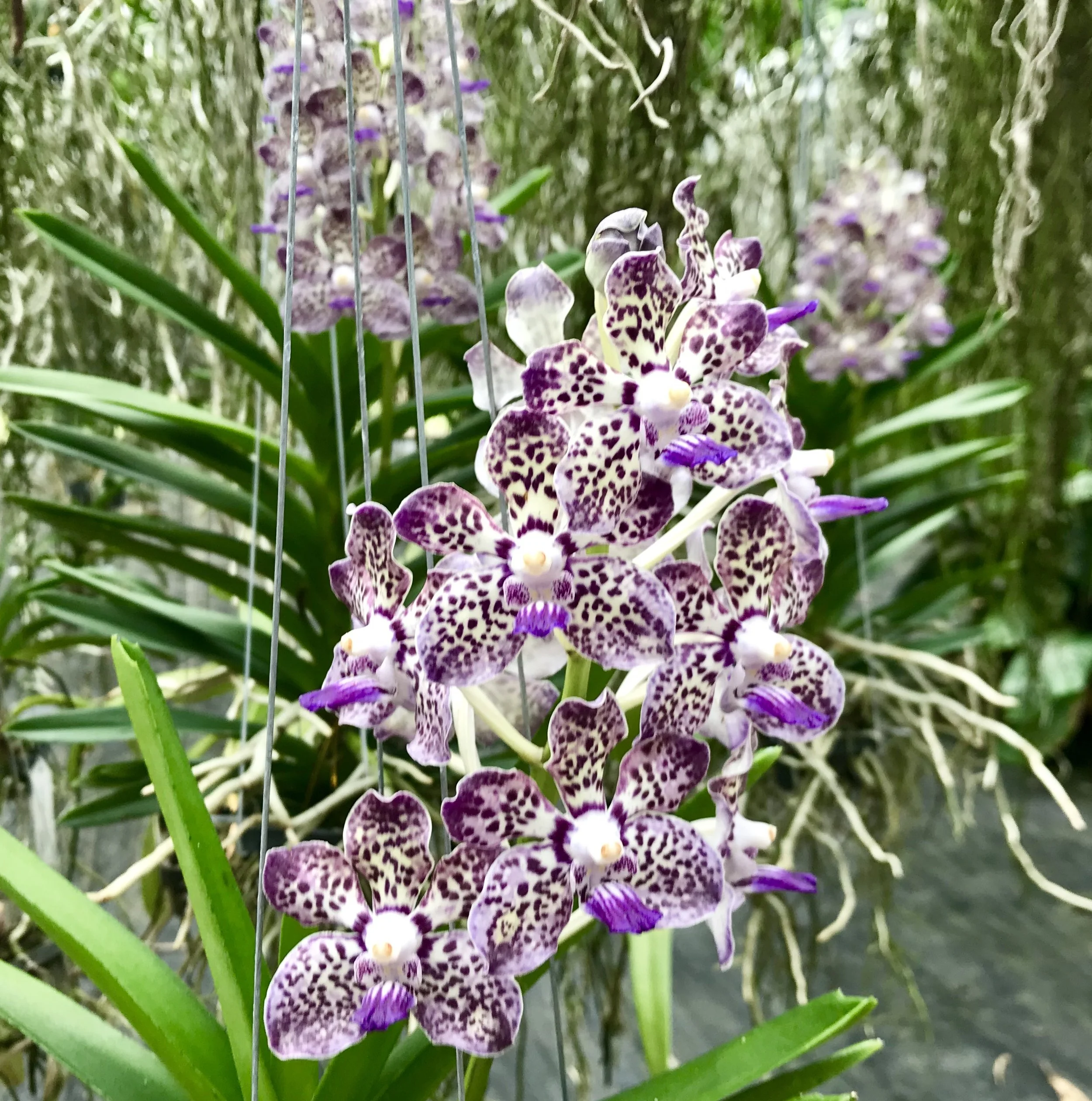 41116B50-BFF3-4D8F-83CF-18767FF208E5