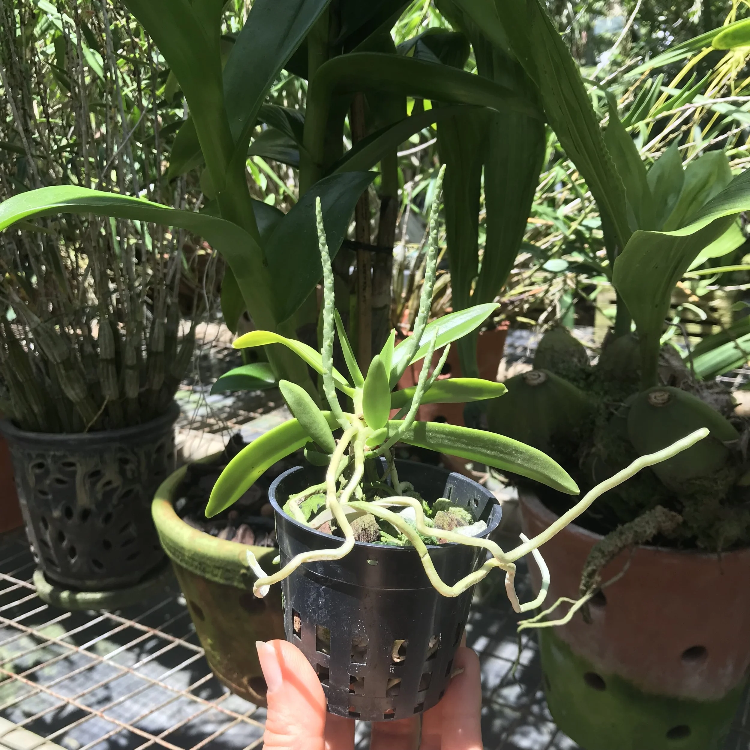 3699E789-026A-4001-8555-CAC44D6B0C13