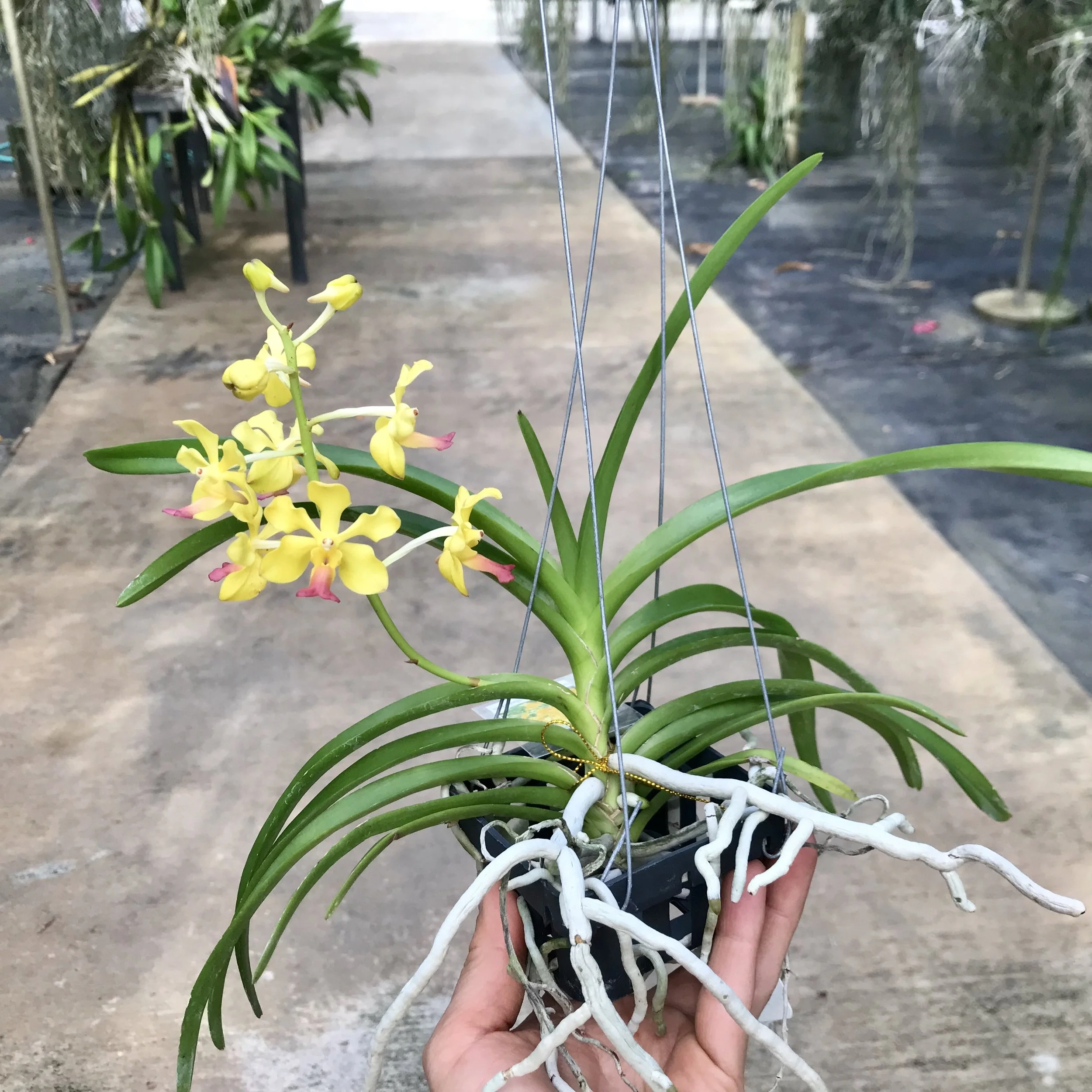 C01B2527-6764-469B-8A6A-B95658EC225C