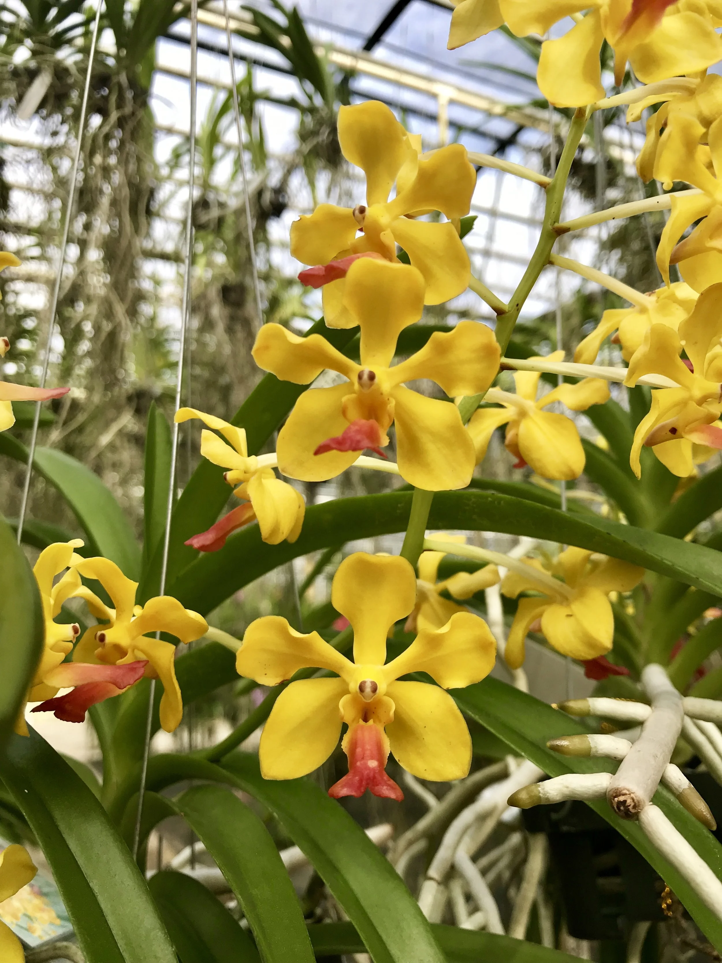 1E7B196D-3886-4FB1-9D33-2C00F977D217