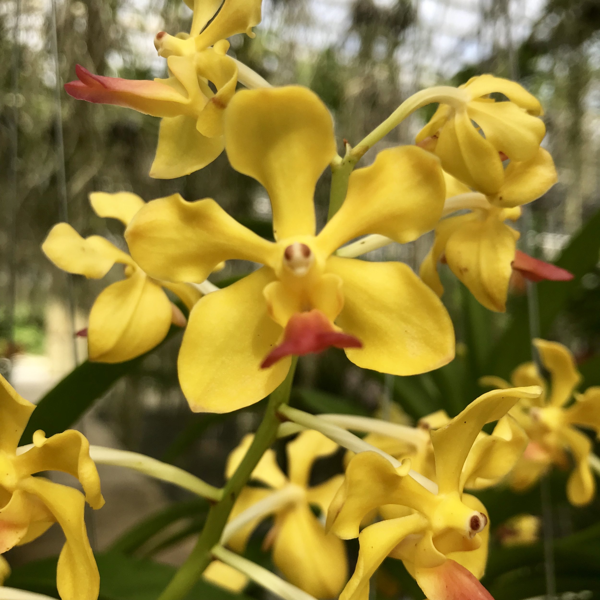 AEB12F85-1B63-41D1-AF9E-82424BAA05BC