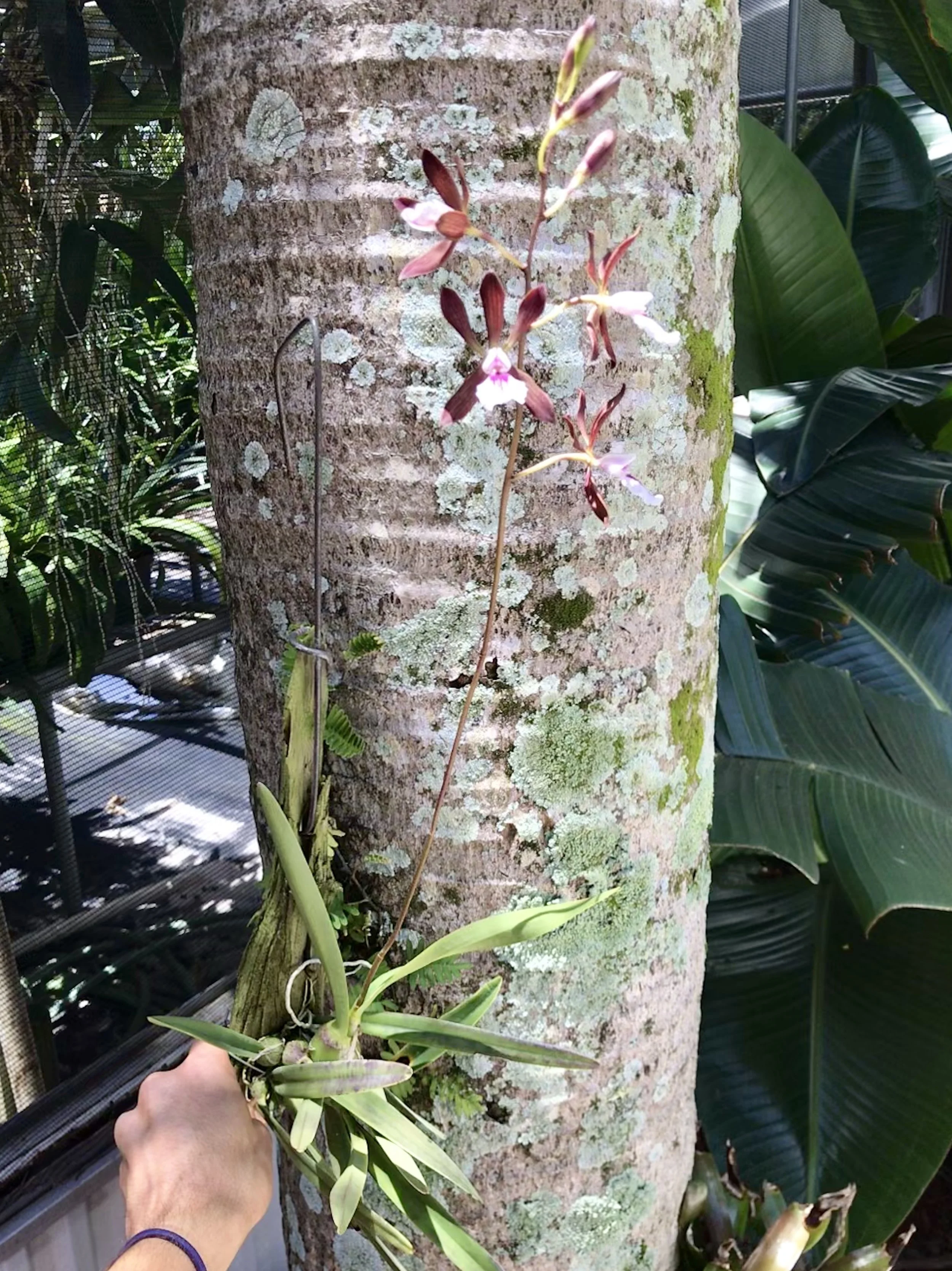 5F3EEF9B-2D12-4A28-A109-3DC218DD03BA