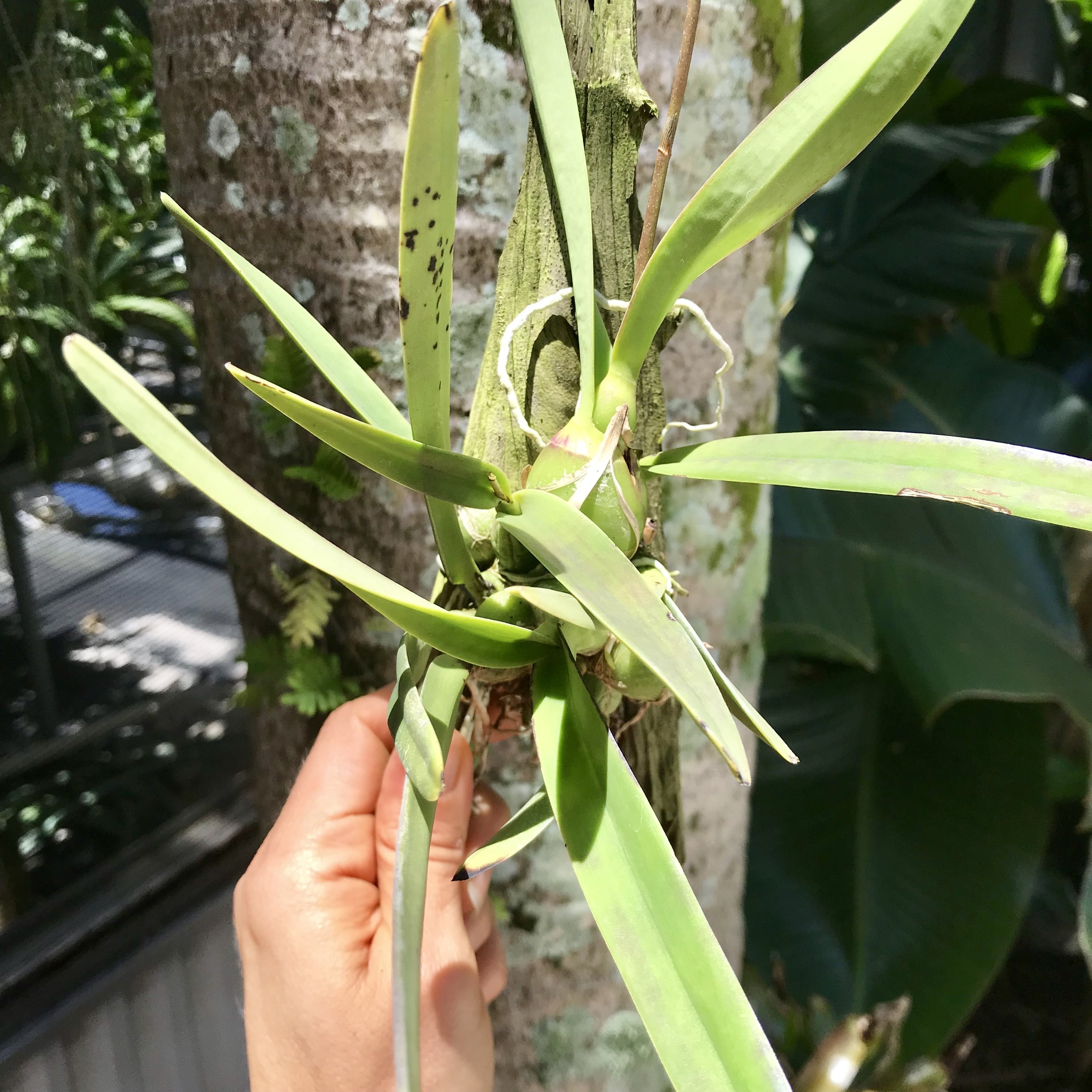 A0943EF3-DB8F-4CFA-9814-4AC7F96E0B83