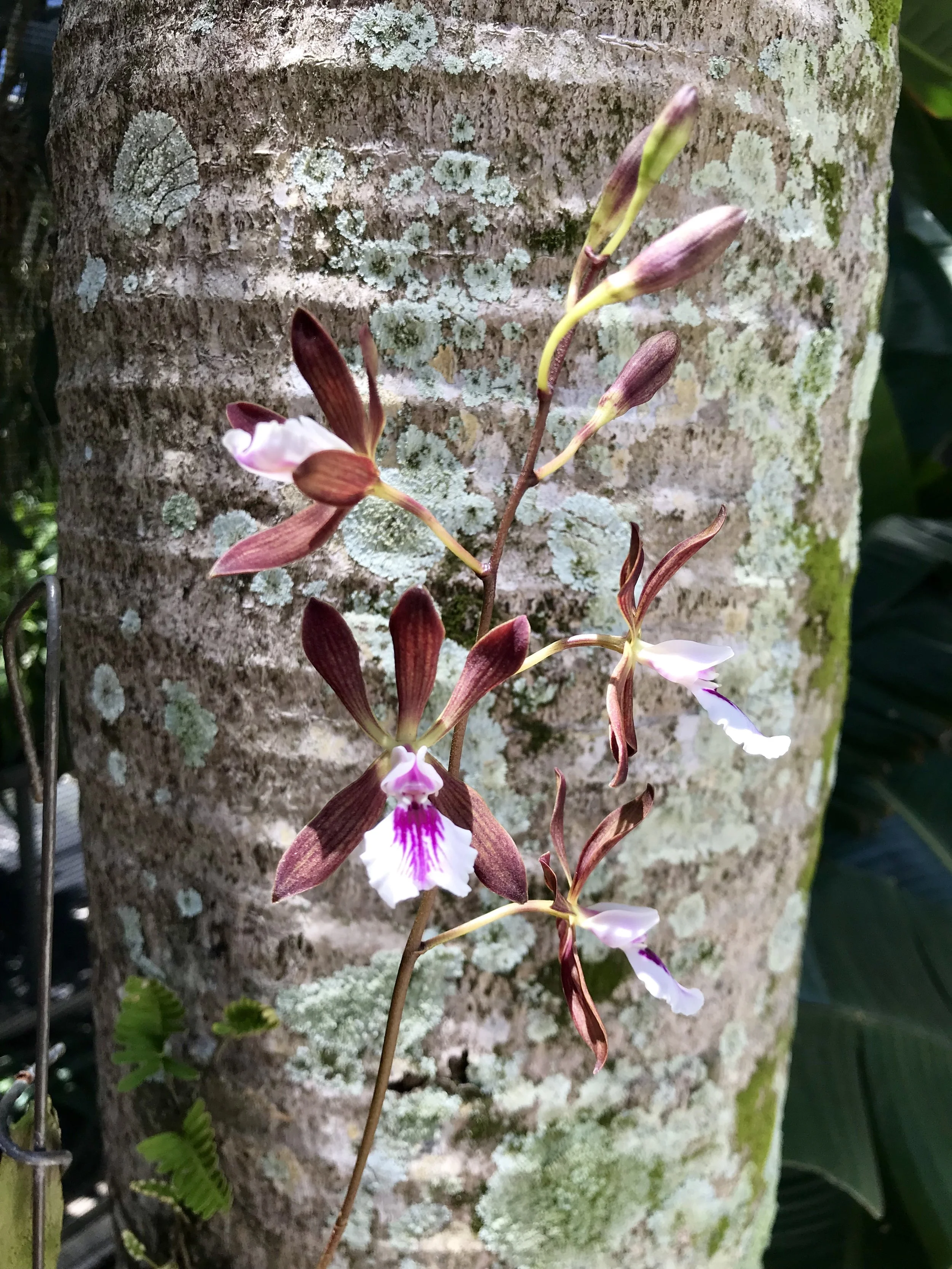 9DC5501E-C8D9-42BB-8410-EC2228DAF36D