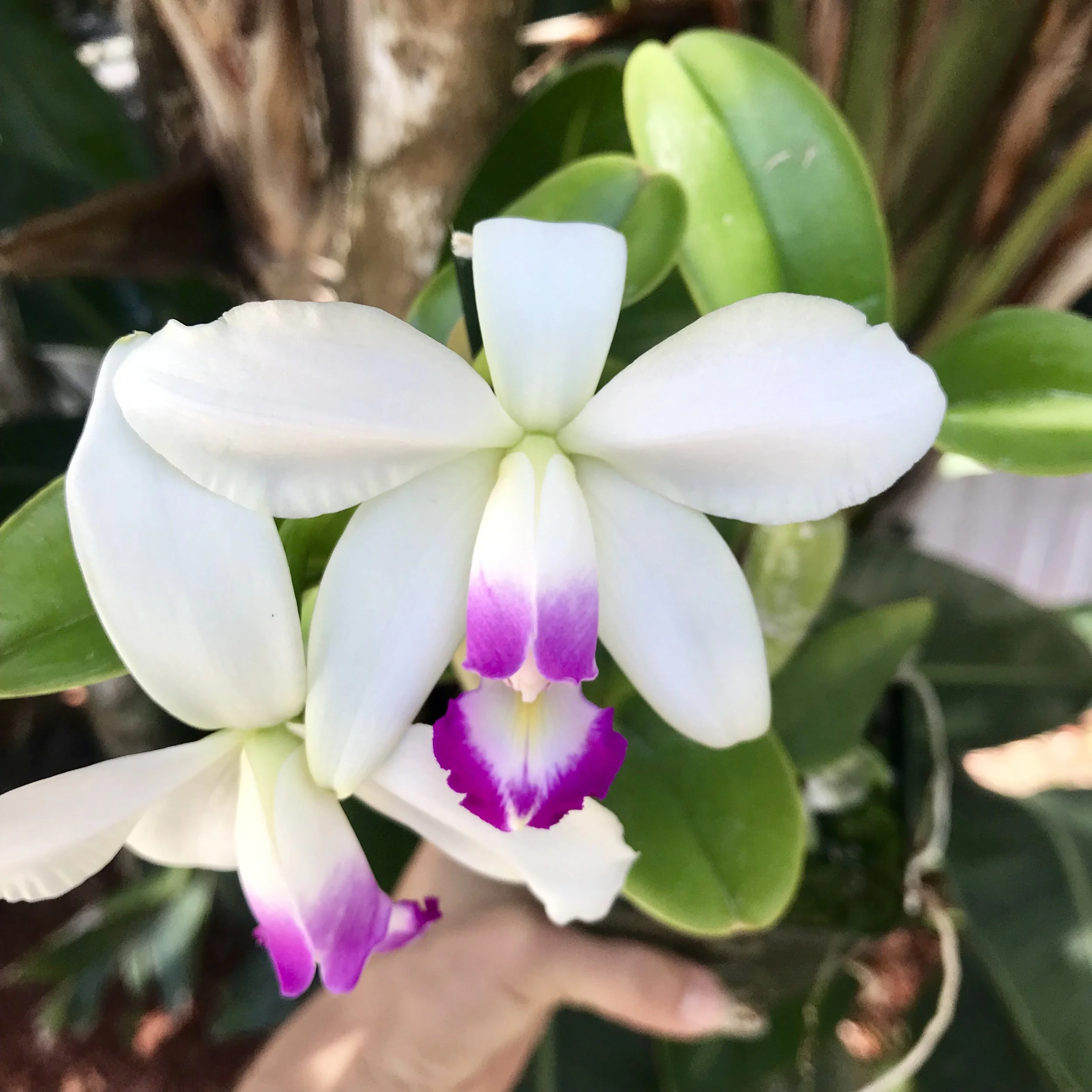 BEAB754D-769B-4B7F-B7F9-0AB22071B4FC